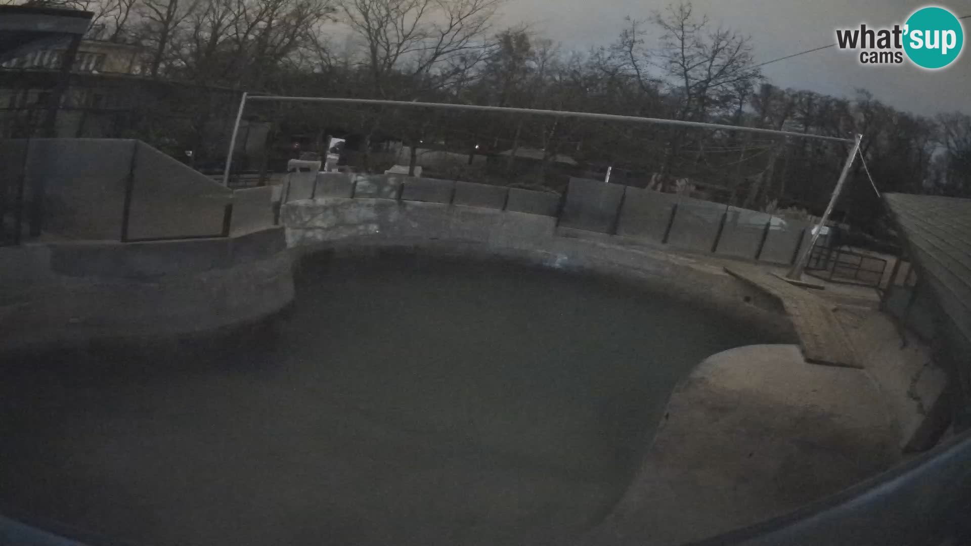 Zoo Zagreb – California Sea Lion