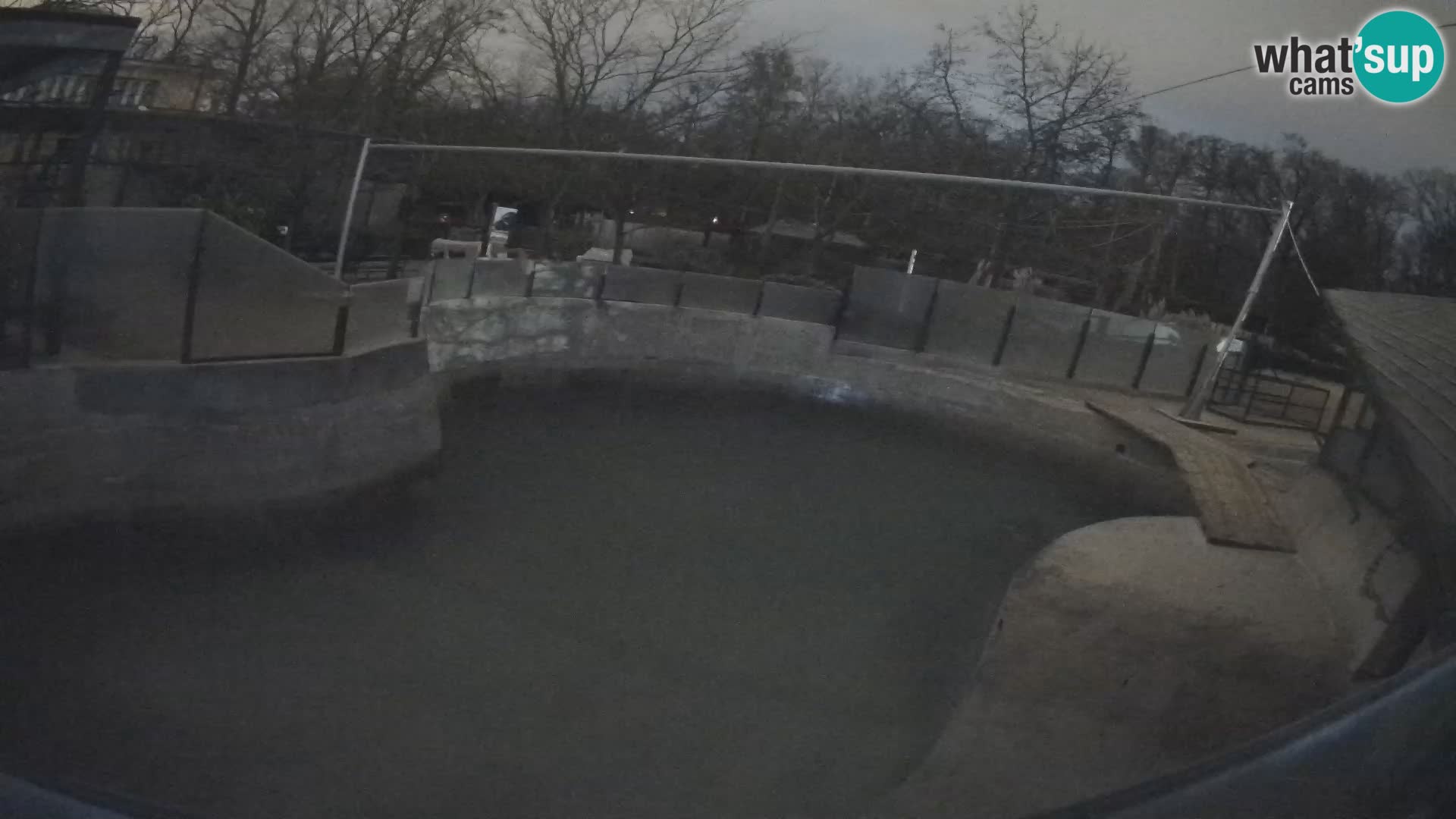 Zoo Zagreb –  León marino de California