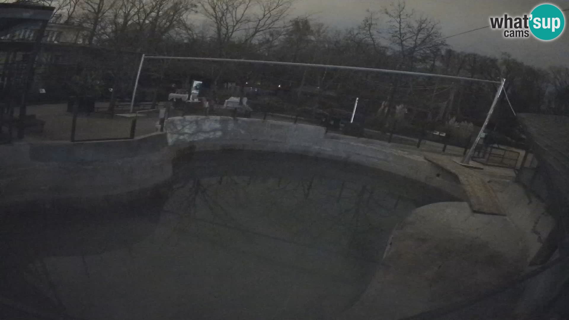 Zoo Zagreb –  León marino de California