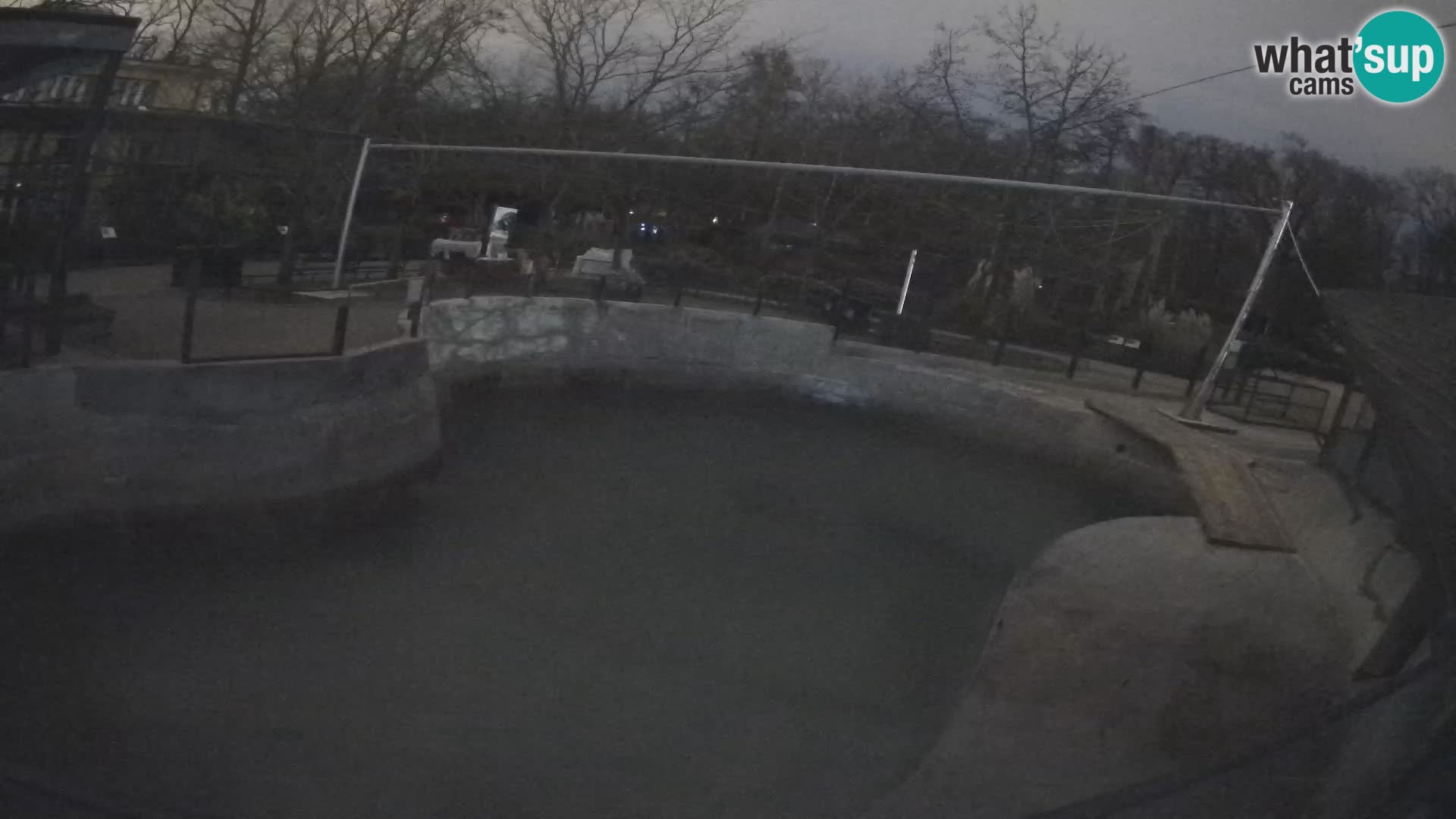 Zoo Zagreb –  León marino de California