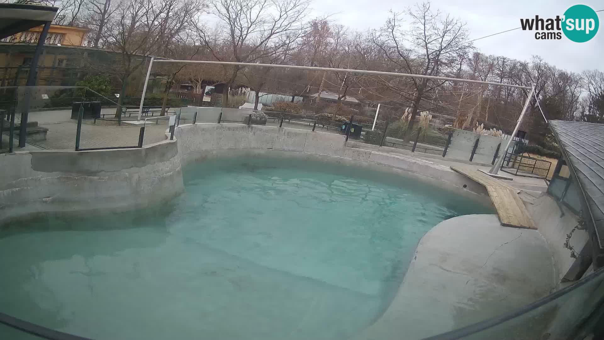 Zoo Zagreb – California Sea Lion