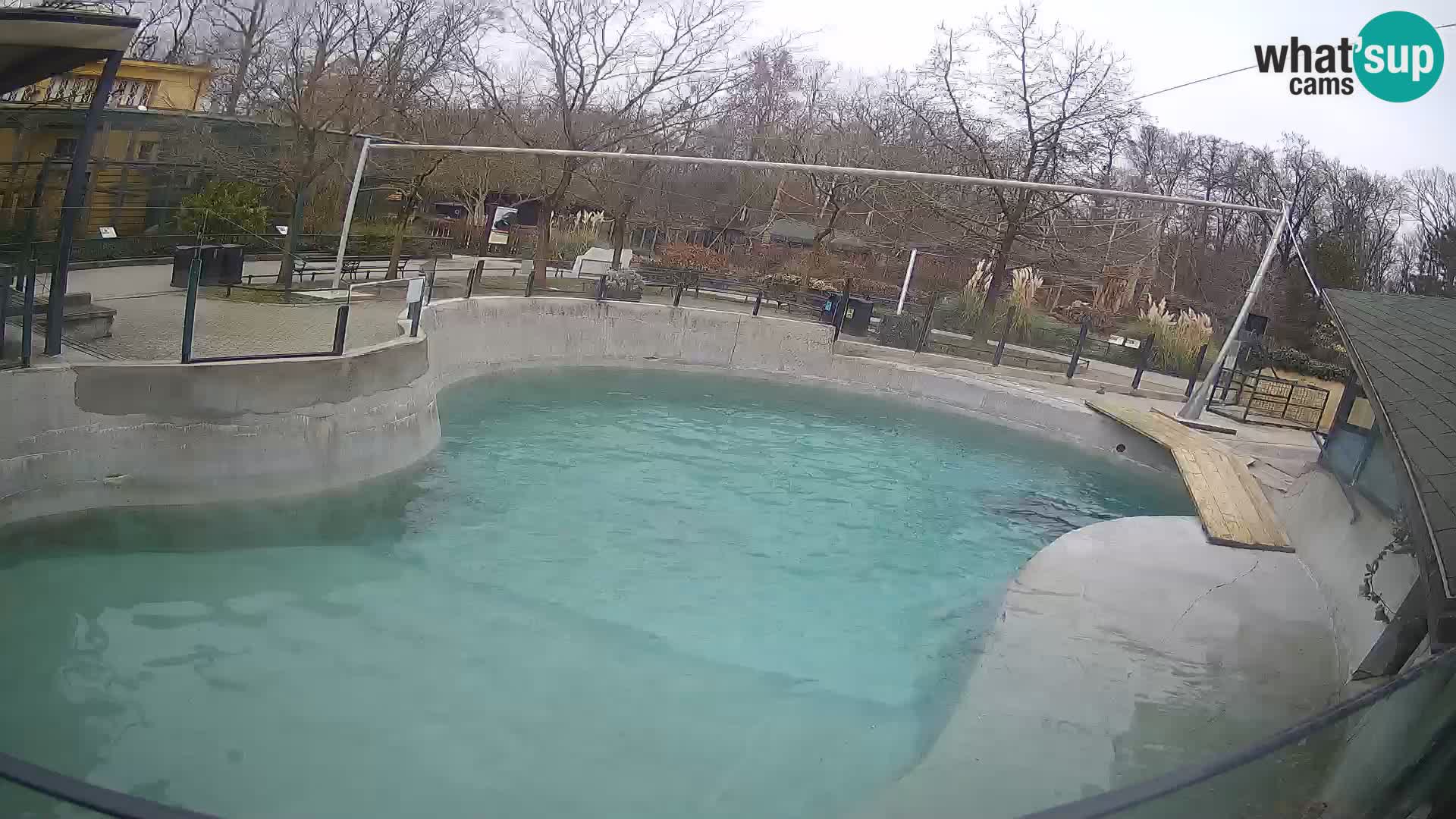 Zoo Zagreb –  León marino de California