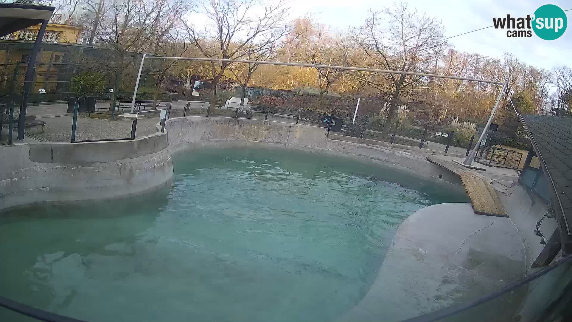 Zoo Zagreb – California Sea Lion