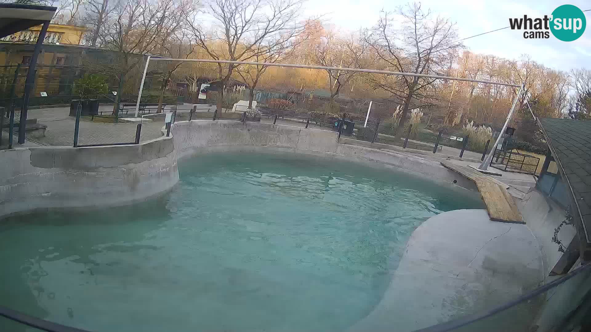 Zoo Zagreb –  León marino de California