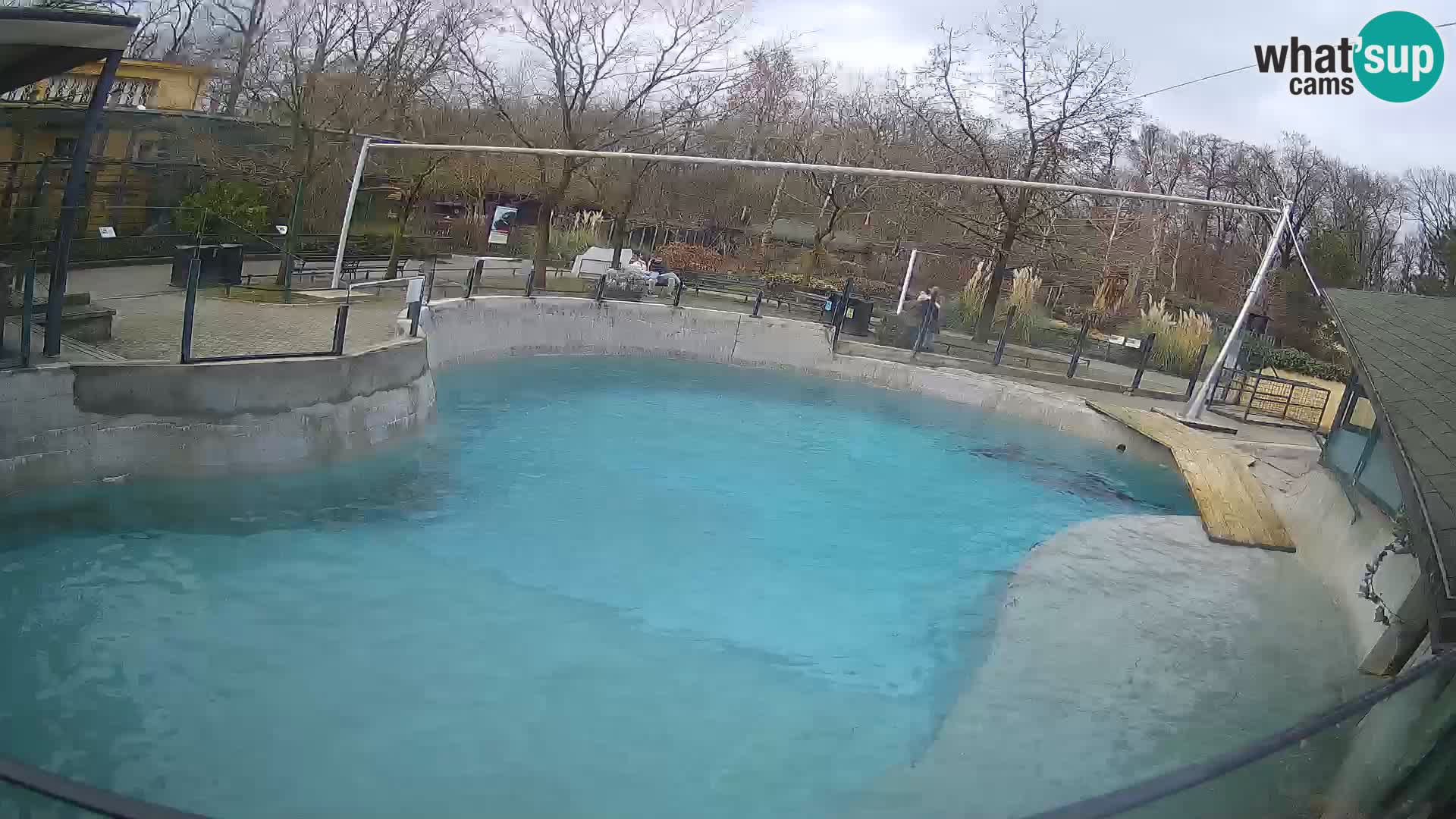 Zoo Zagreb – California Sea Lion