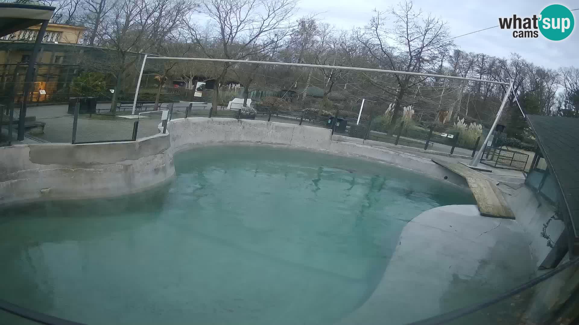 Zoo Zagreb –  León marino de California