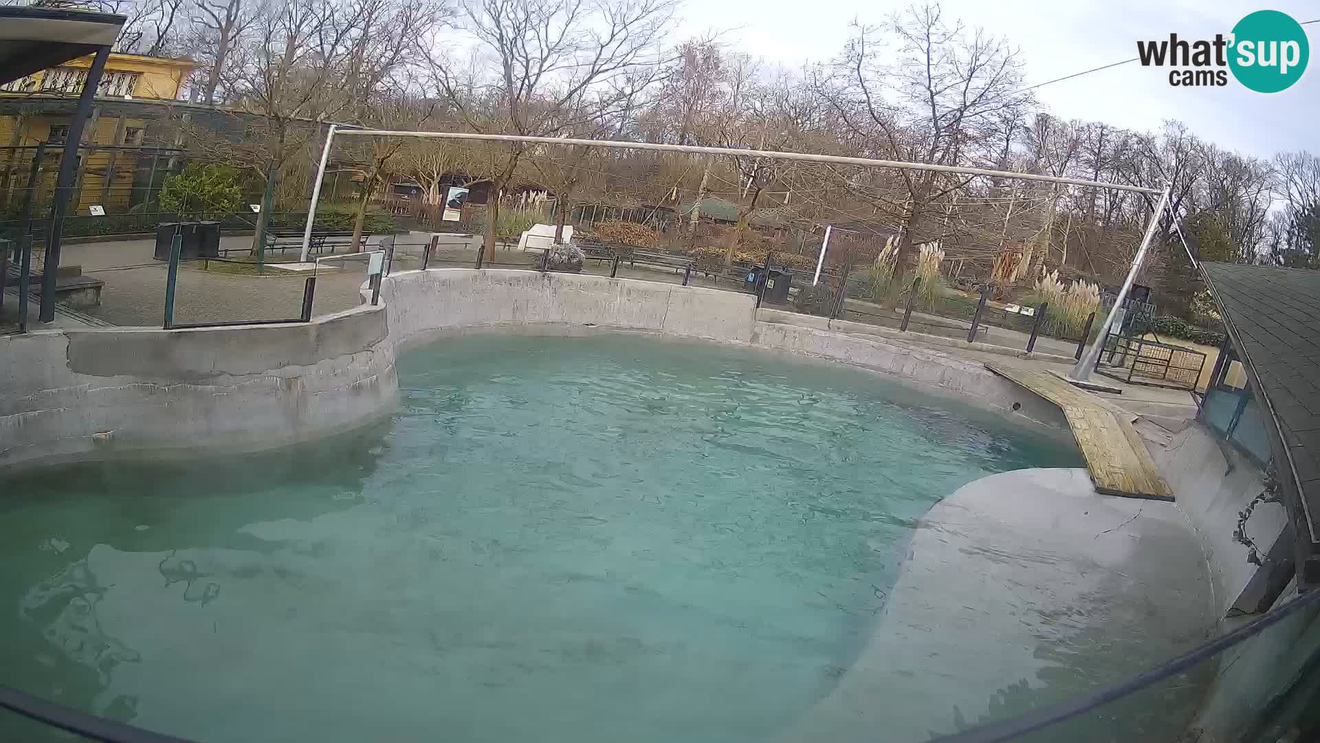 Zoo Zagreb – California Sea Lion