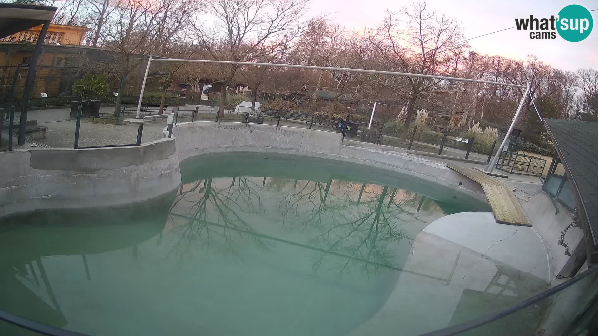 Zoo Zagreb –  León marino de California