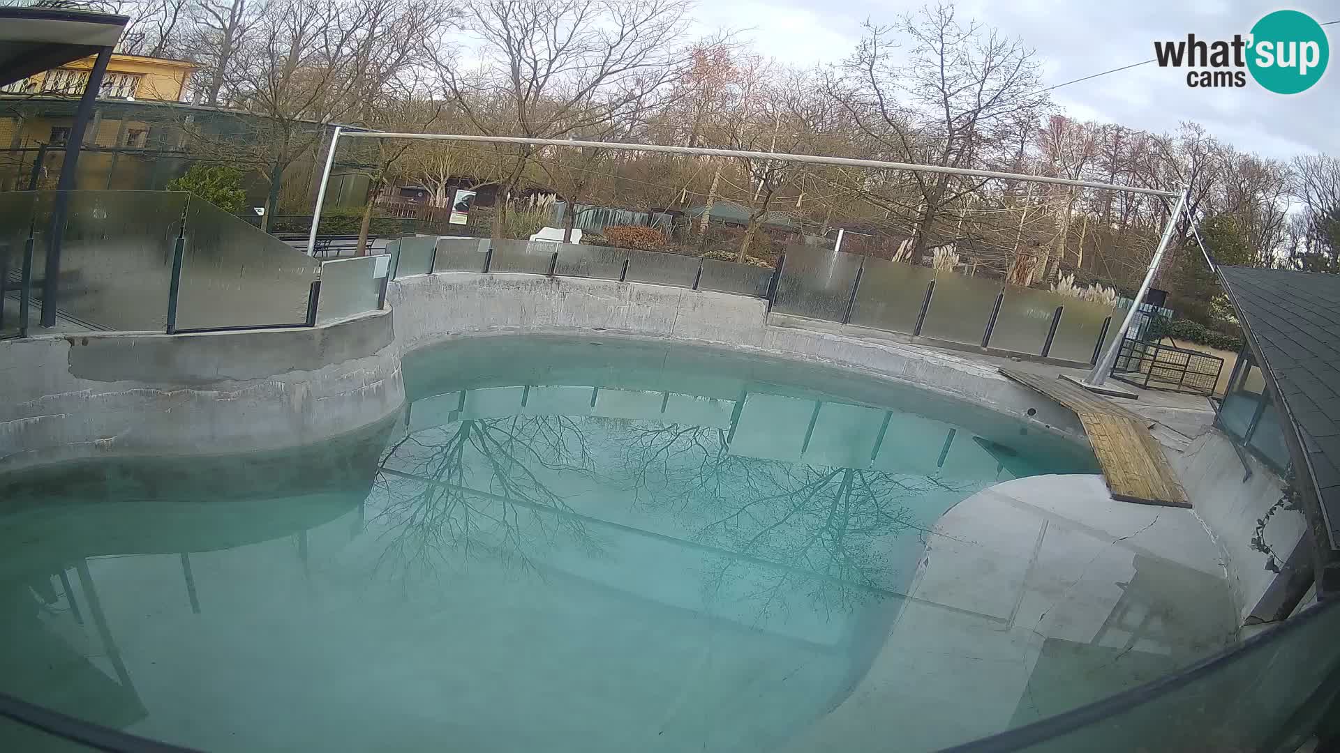 Zoo Zagreb –  León marino de California