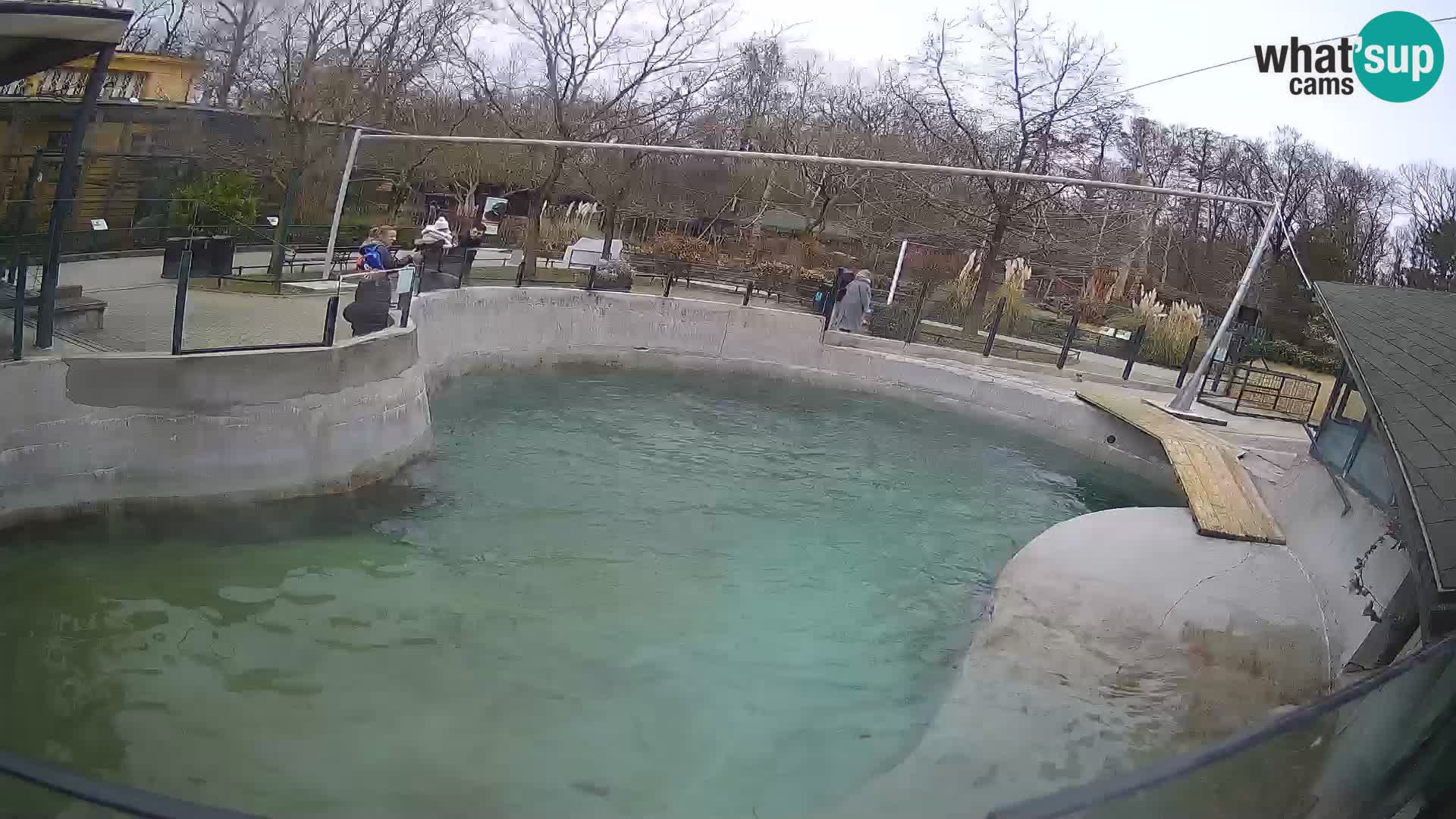 Zoo Zagreb – California Sea Lion