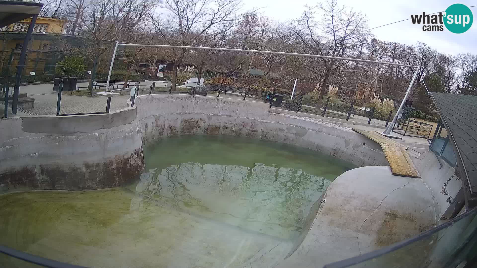 Zoo Zagreb –  León marino de California