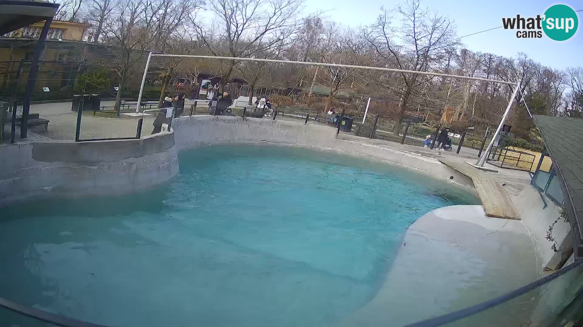 Zoo Zagreb –  León marino de California