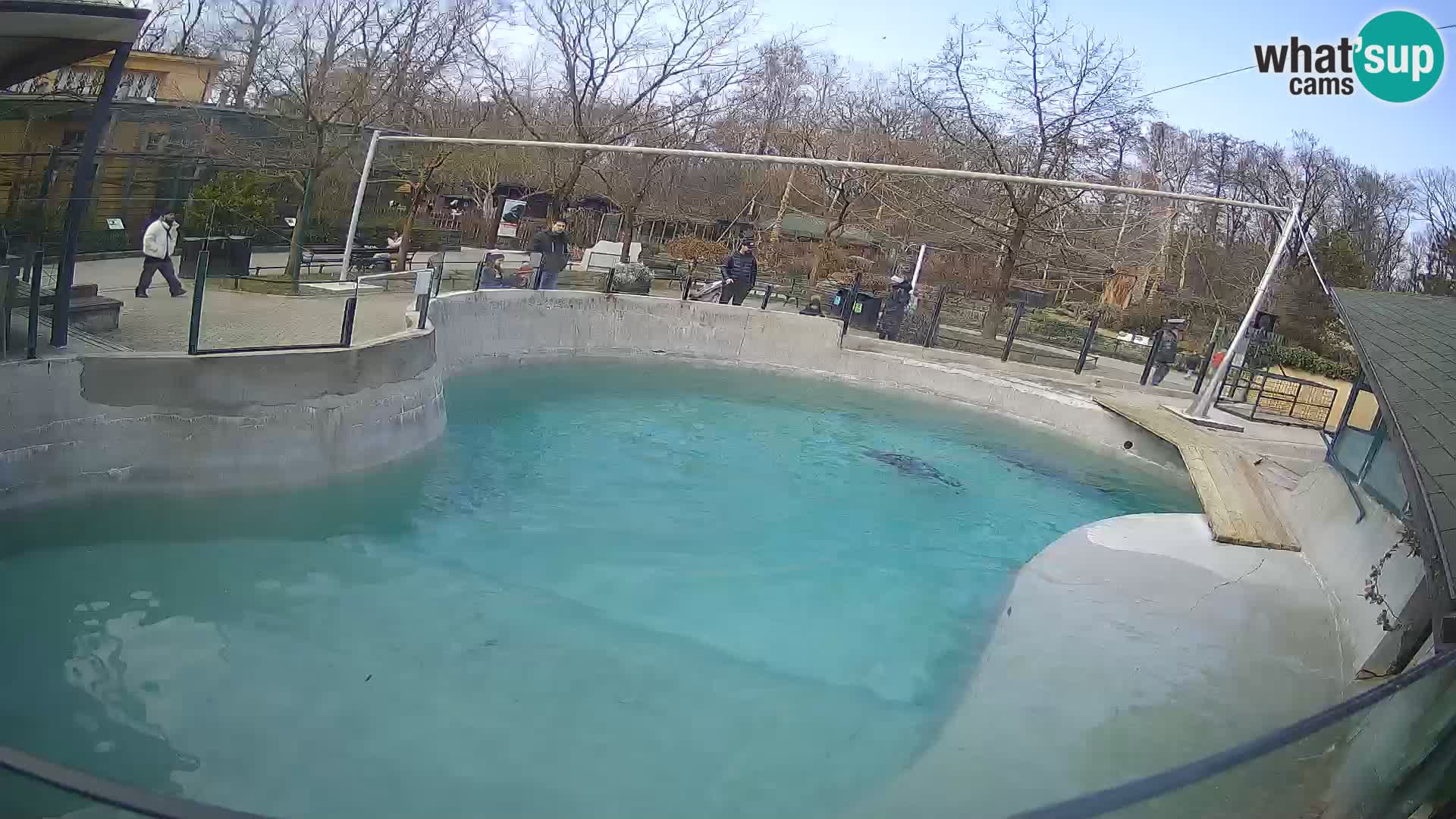 Zoo Zagreb –  León marino de California