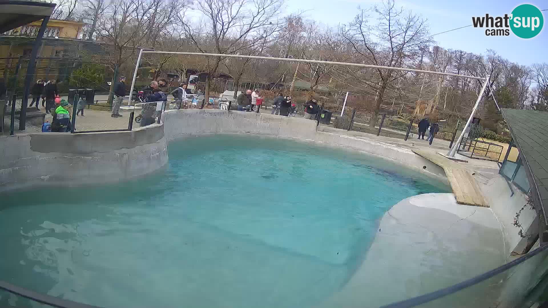 Zoo Zagreb –  León marino de California