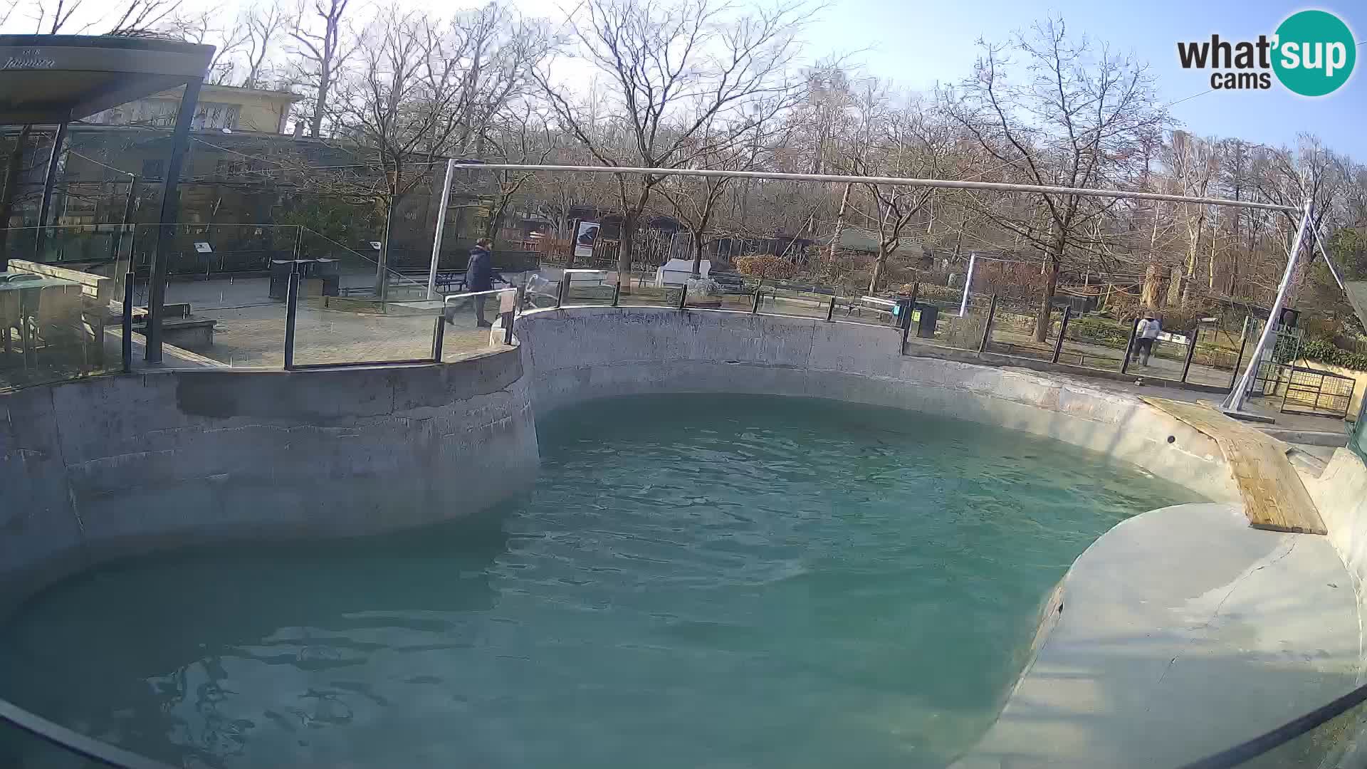 Zoo Zagreb –  León marino de California