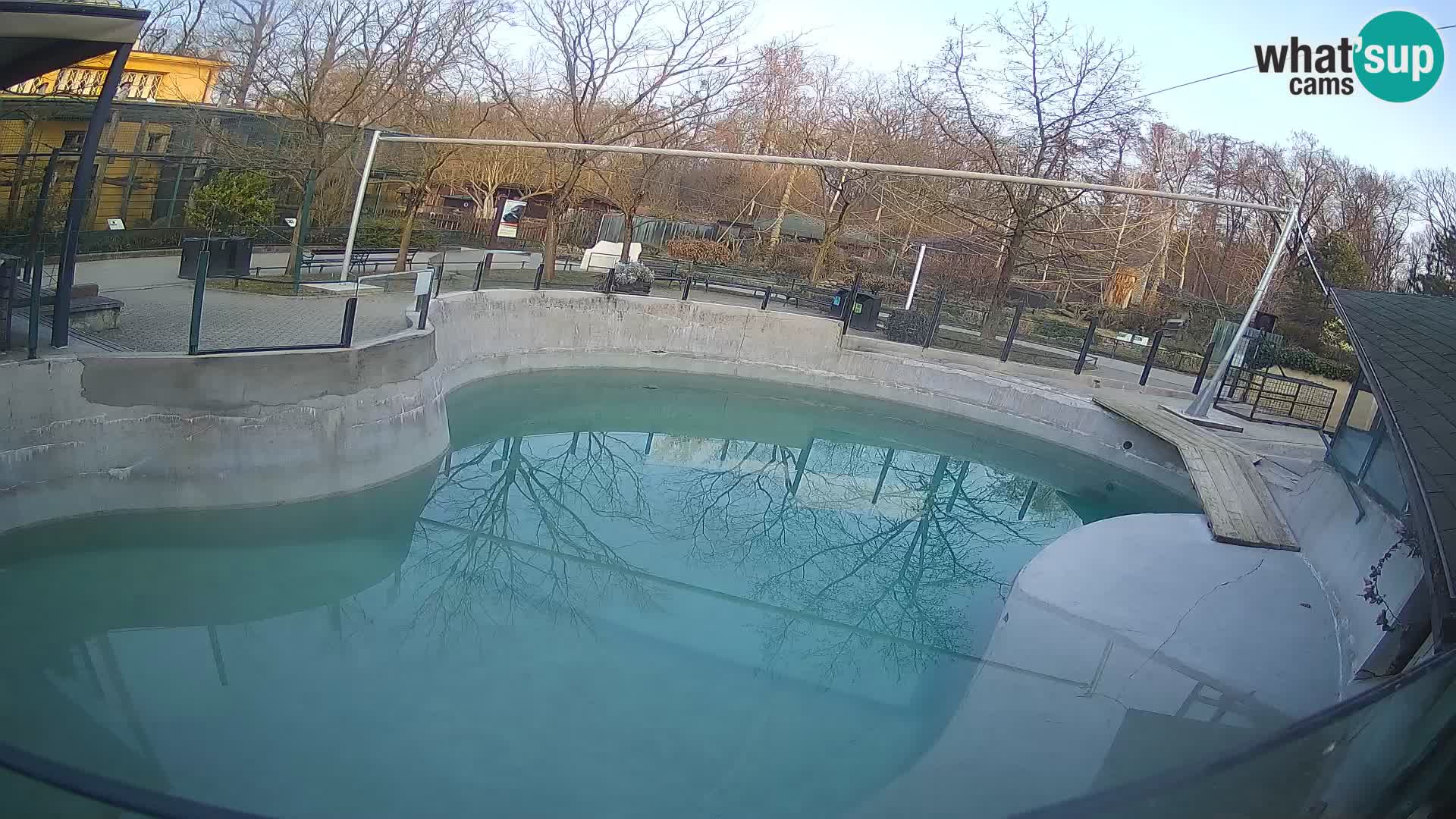 Zoo Zagreb – California Sea Lion