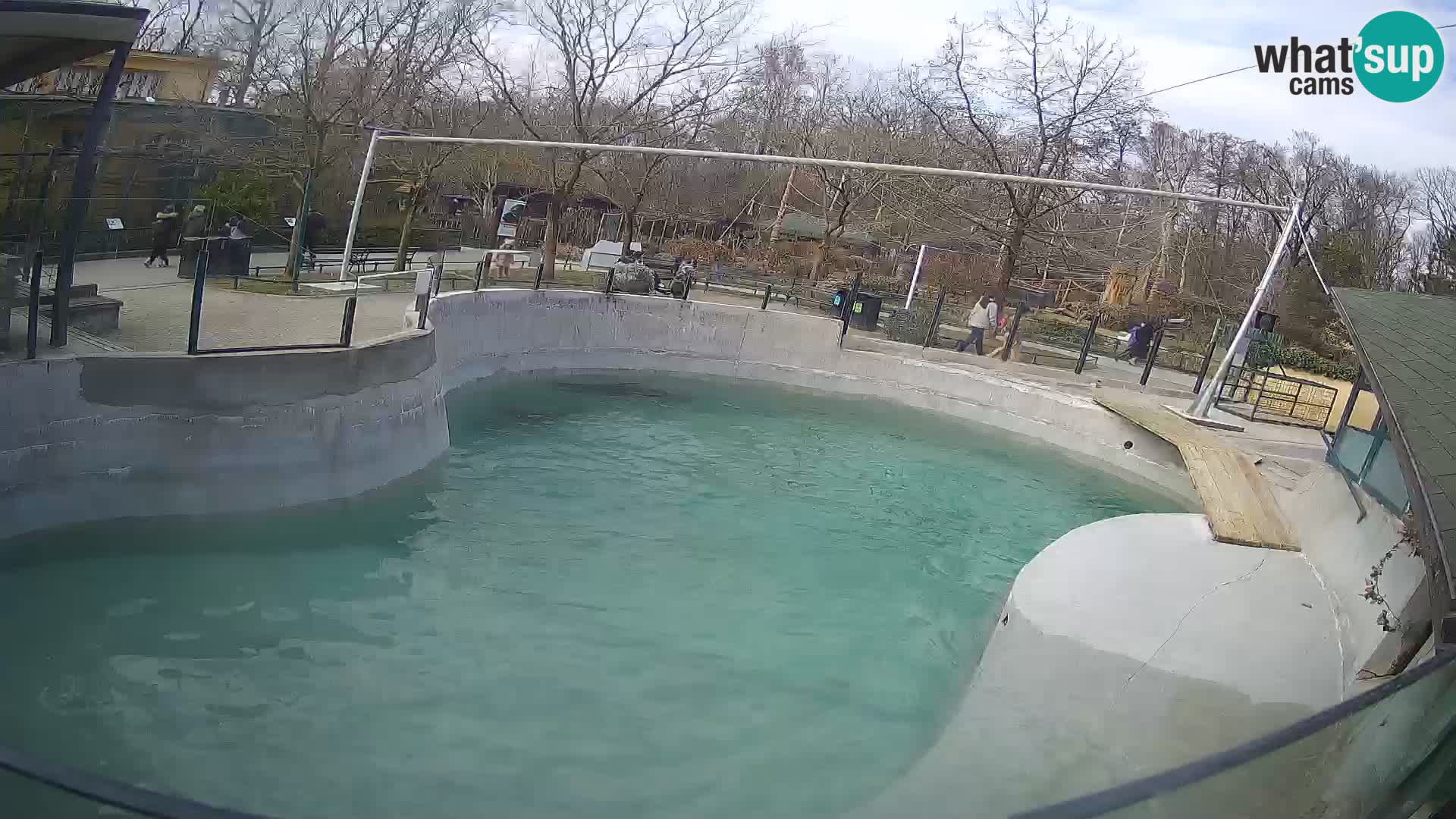 Zoo Zagreb – California Sea Lion