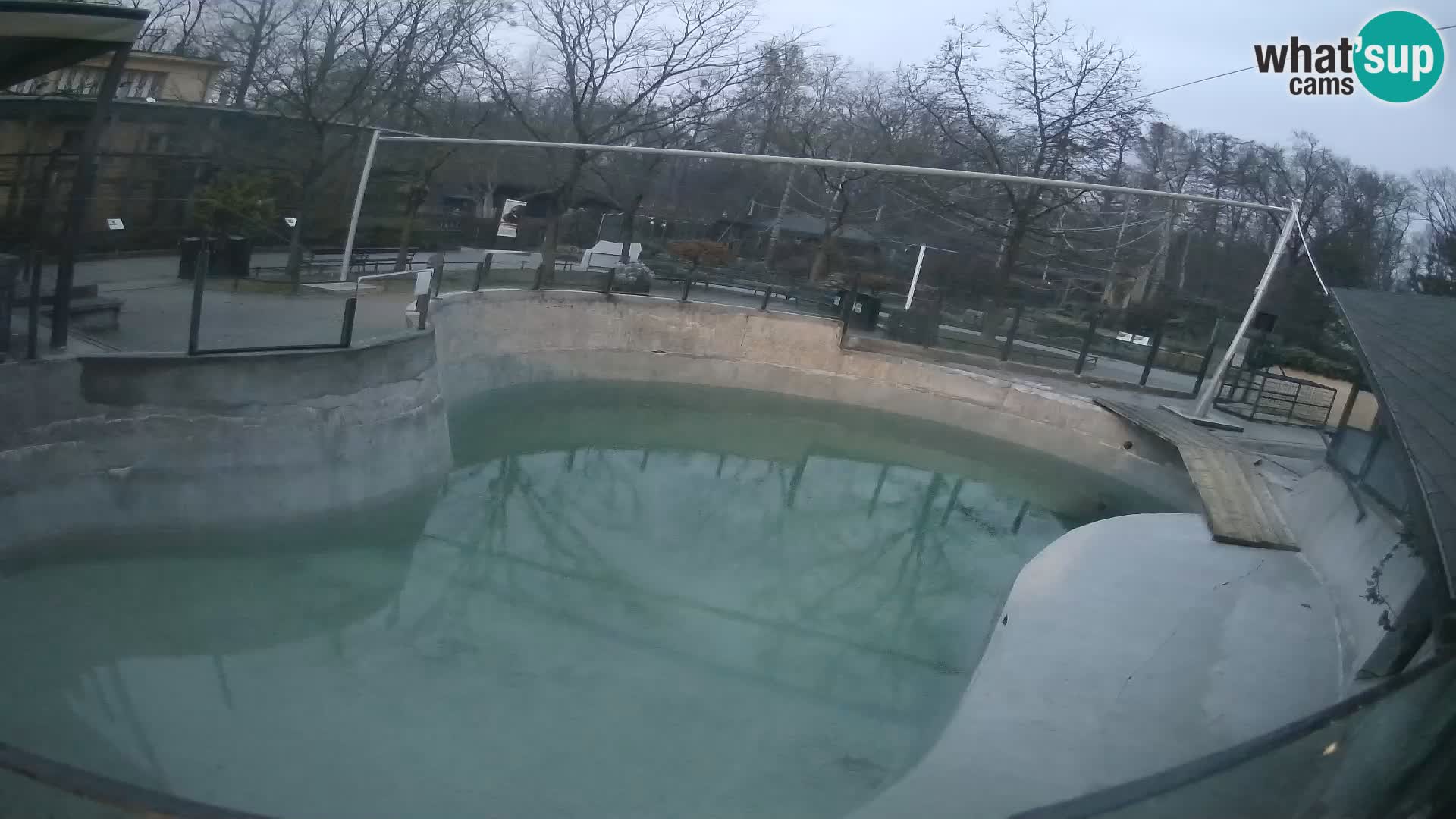 Zoo Zagreb – California Sea Lion