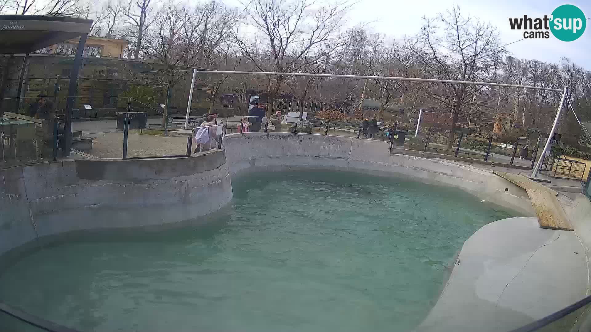 Zoo Zagreb –  León marino de California