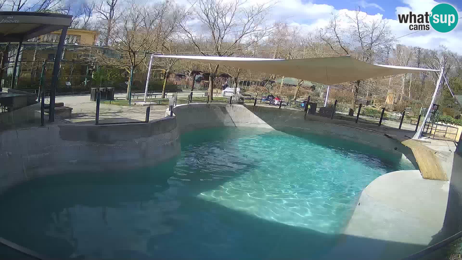 Zoo Zagreb – California Sea Lion