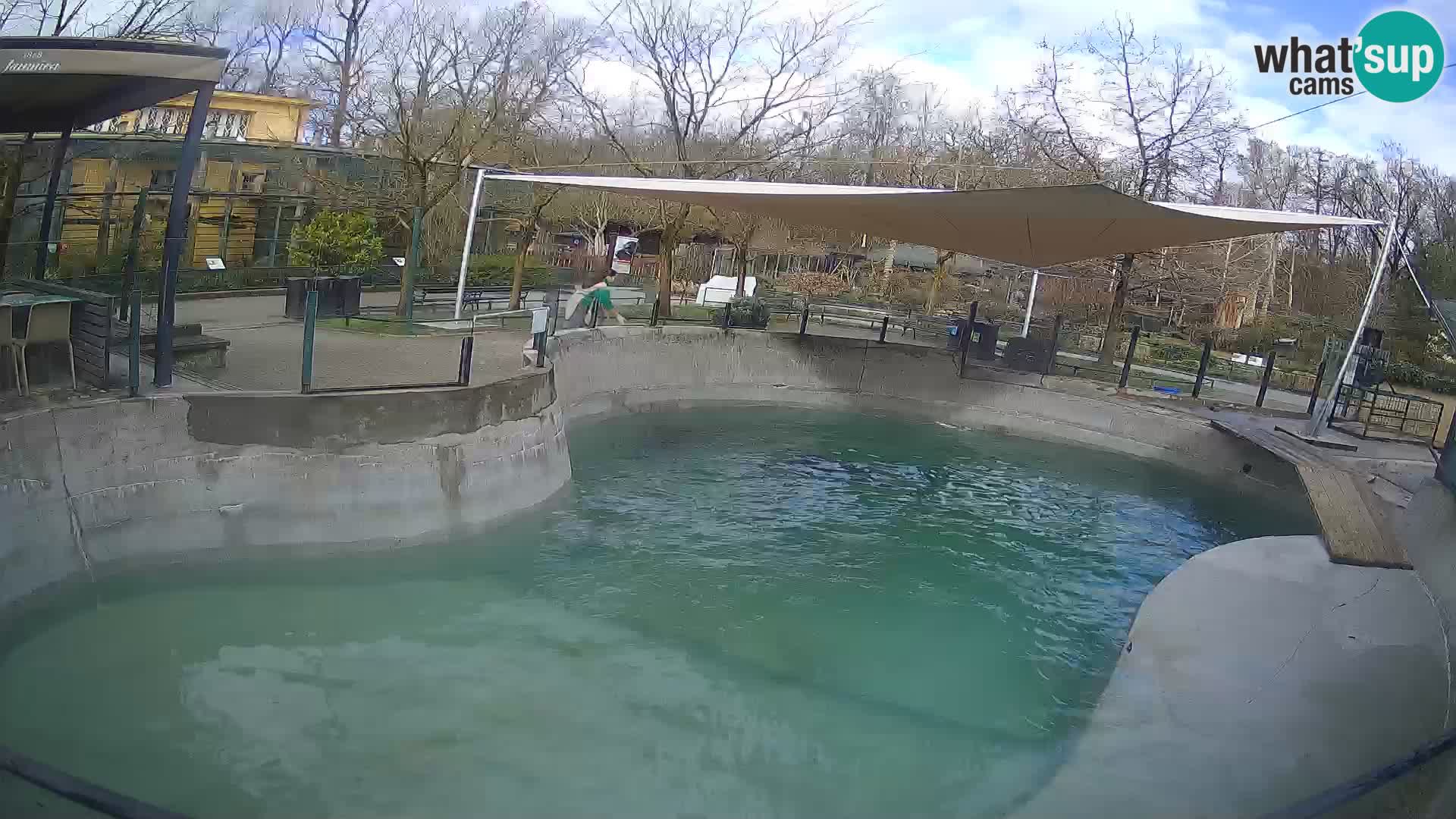 Zoo Zagreb – California Sea Lion