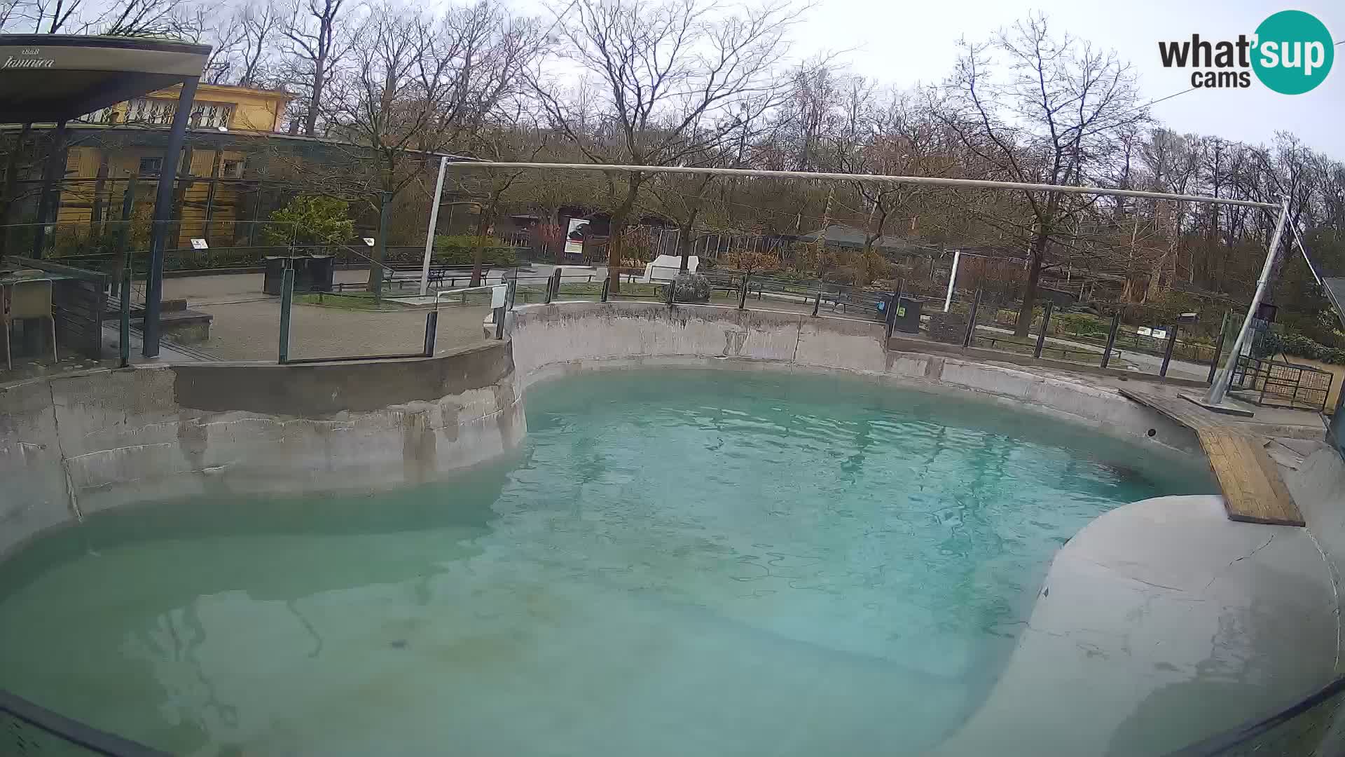 Zoo Zagreb –  León marino de California