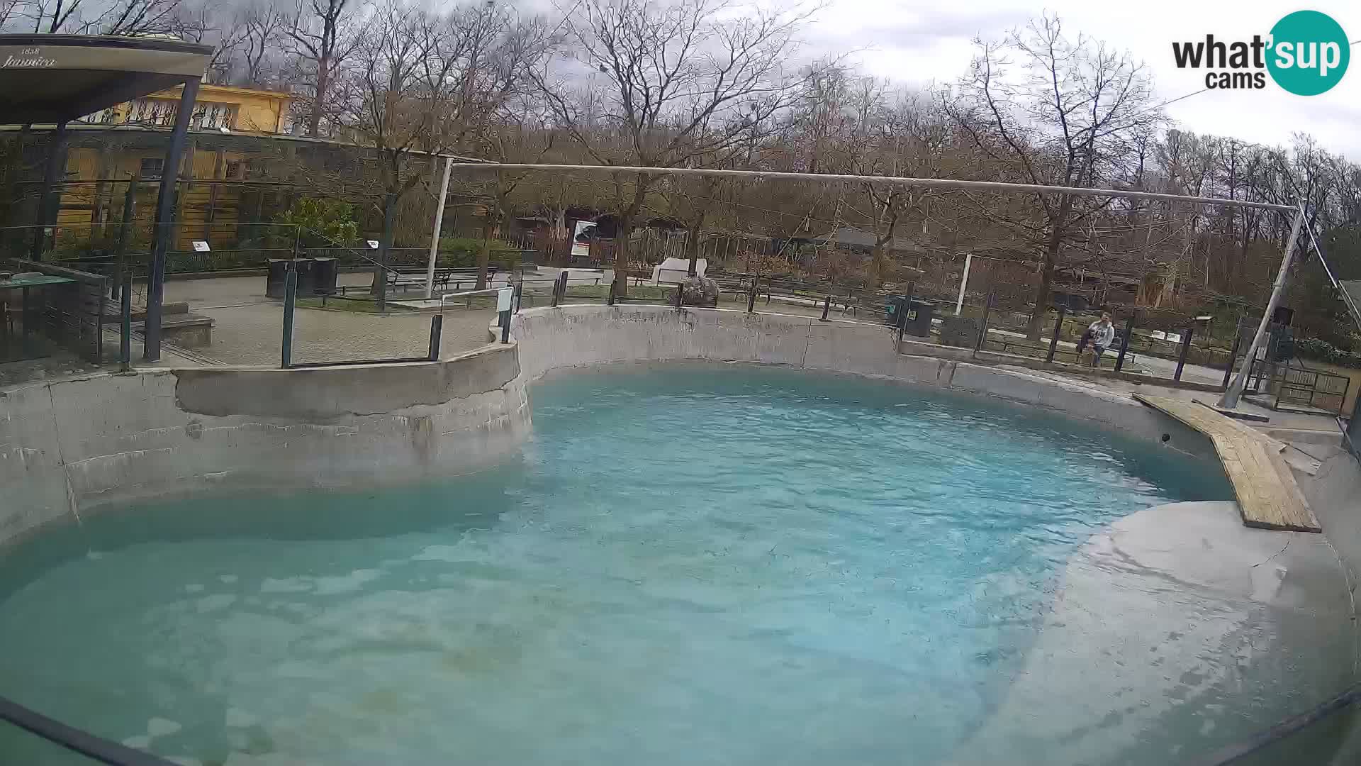 Zoo Zagreb – California Sea Lion