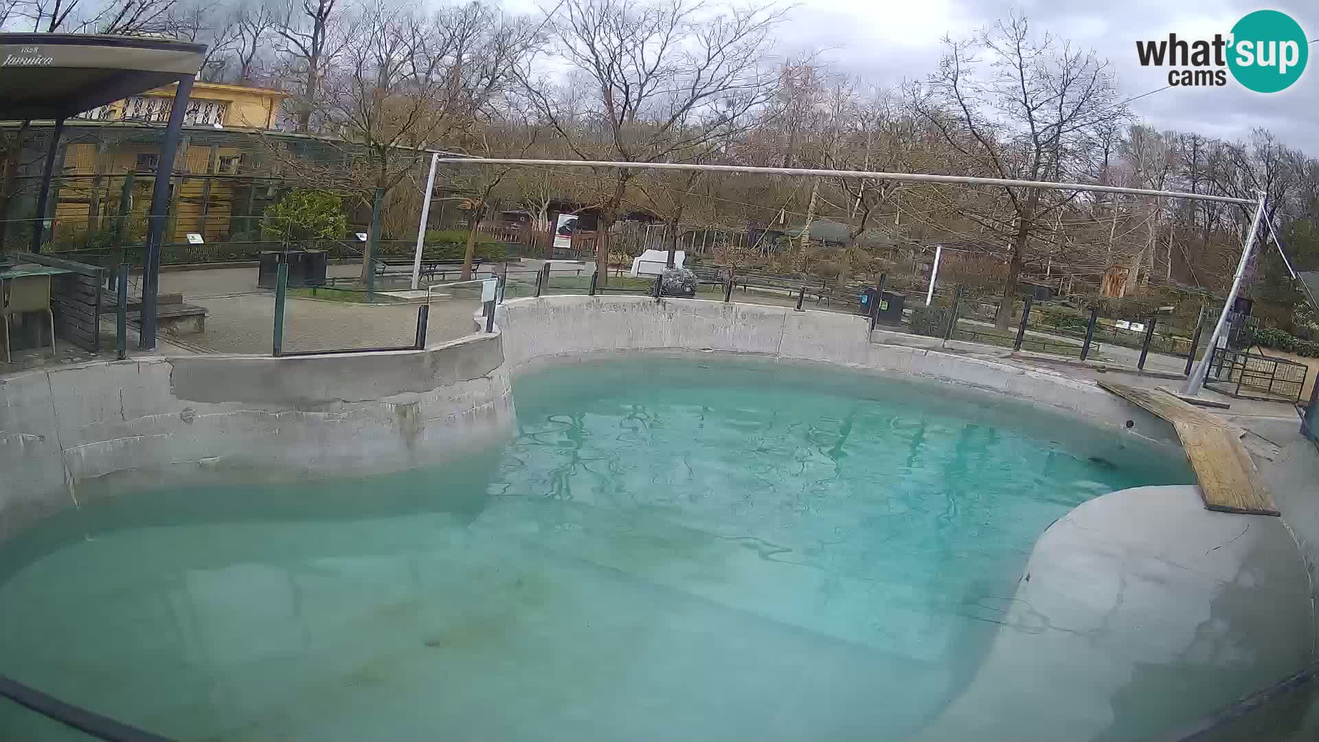 Zoo Zagreb –  León marino de California