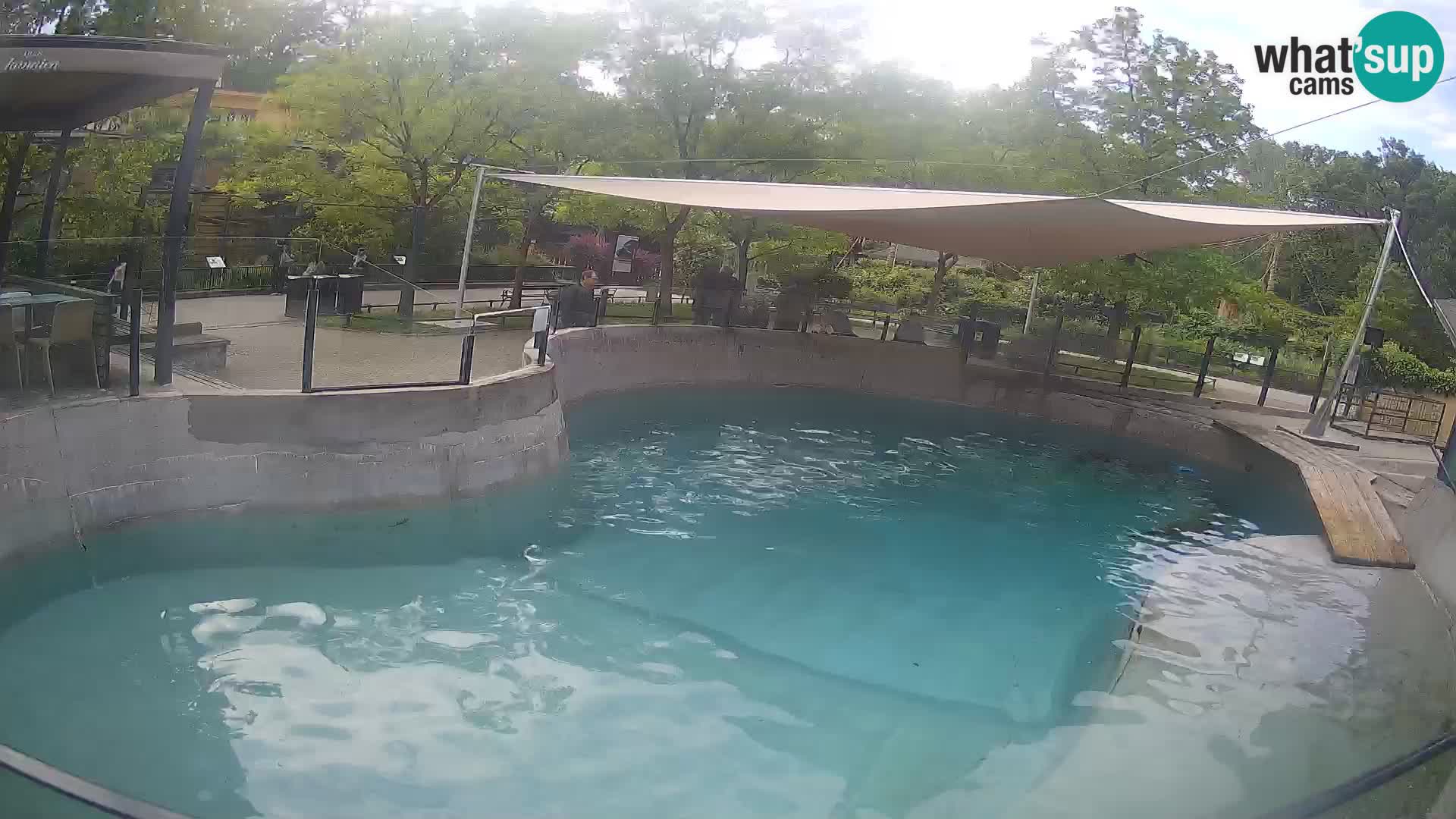 Zoo Zagreb – Kalifornijski morski lev