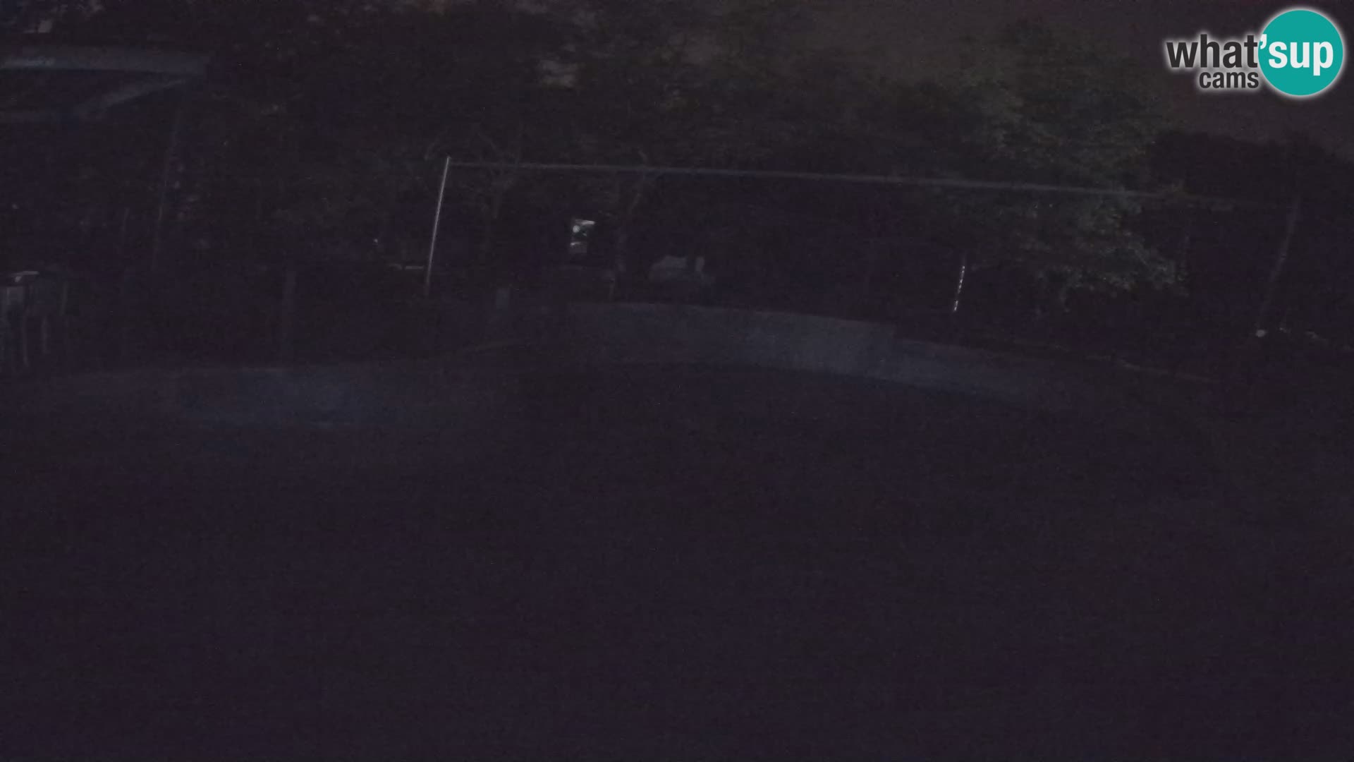 Zoo Zagreb – Kalifornijski morski lev