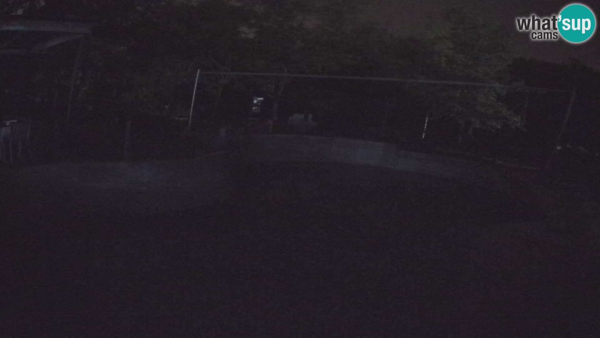 Zoo Zagreb – Kalifornijski morski lav