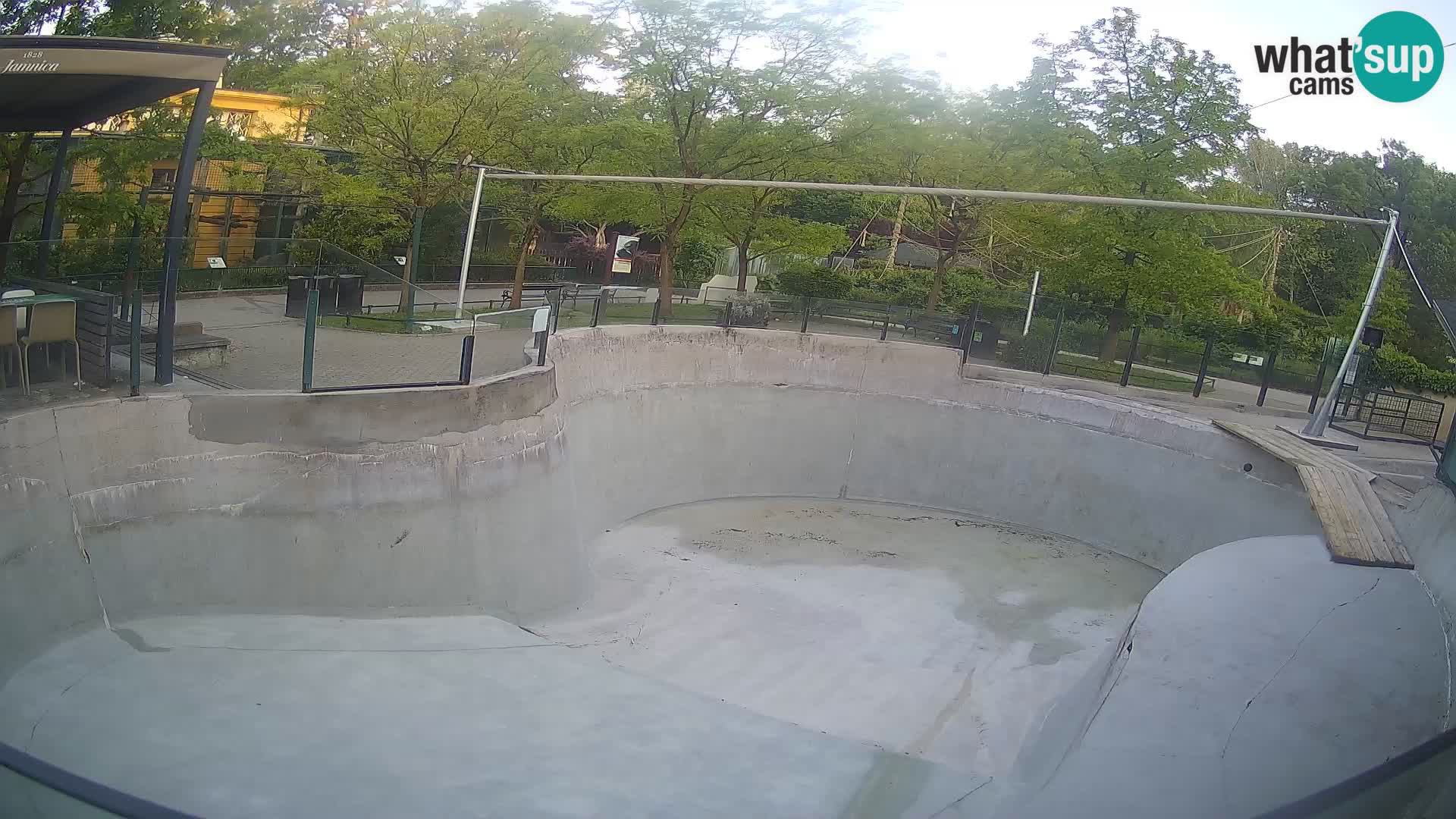 Zoo Zagreb – Kalifornijski morski lav