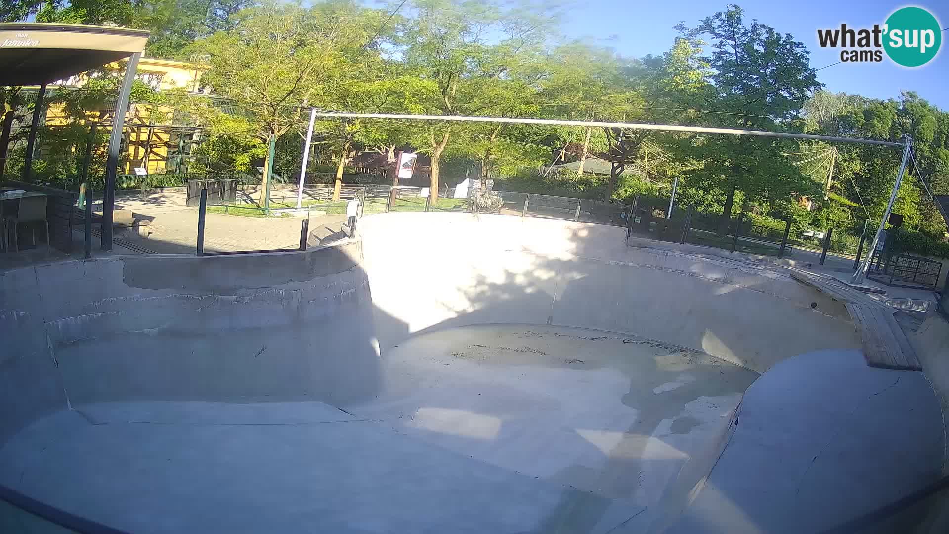 Zoo Zagreb – Kalifornijski morski lev