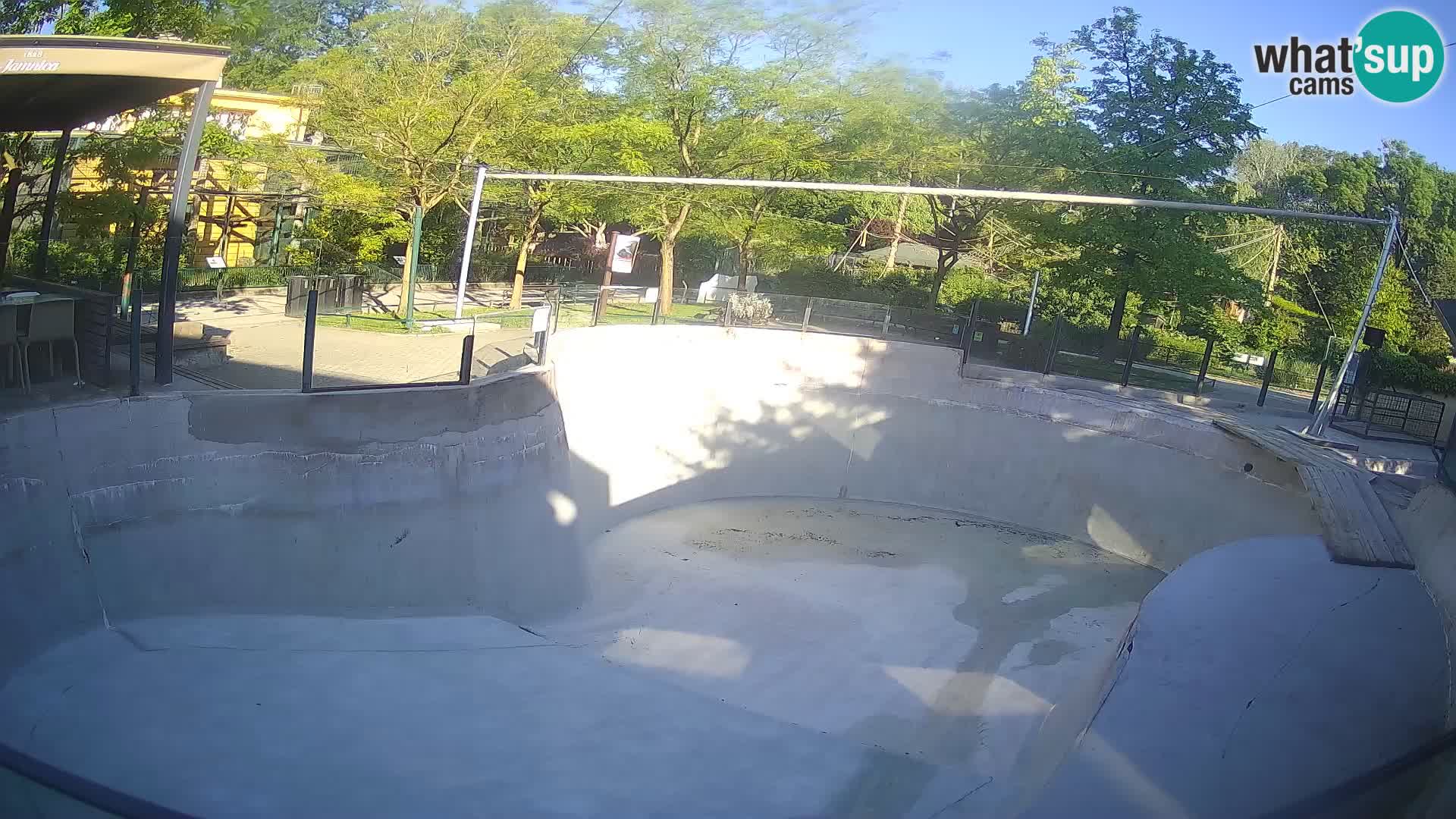 Zoo Zagreb – Kalifornijski morski lav