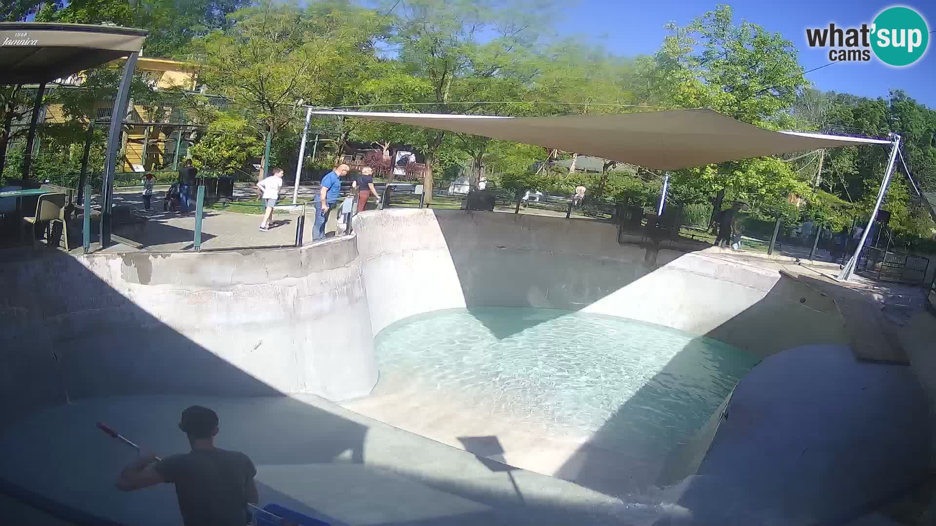 Zoo Zagreb – California Sea Lion