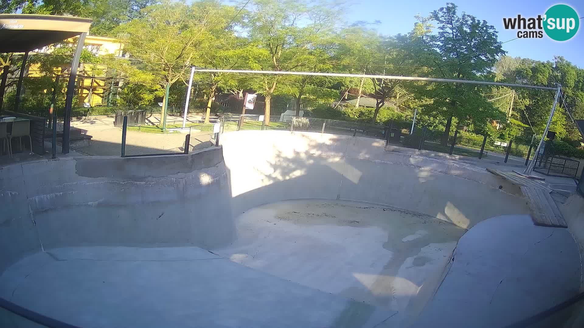 Zoo Zagreb – Kalifornijski morski lav