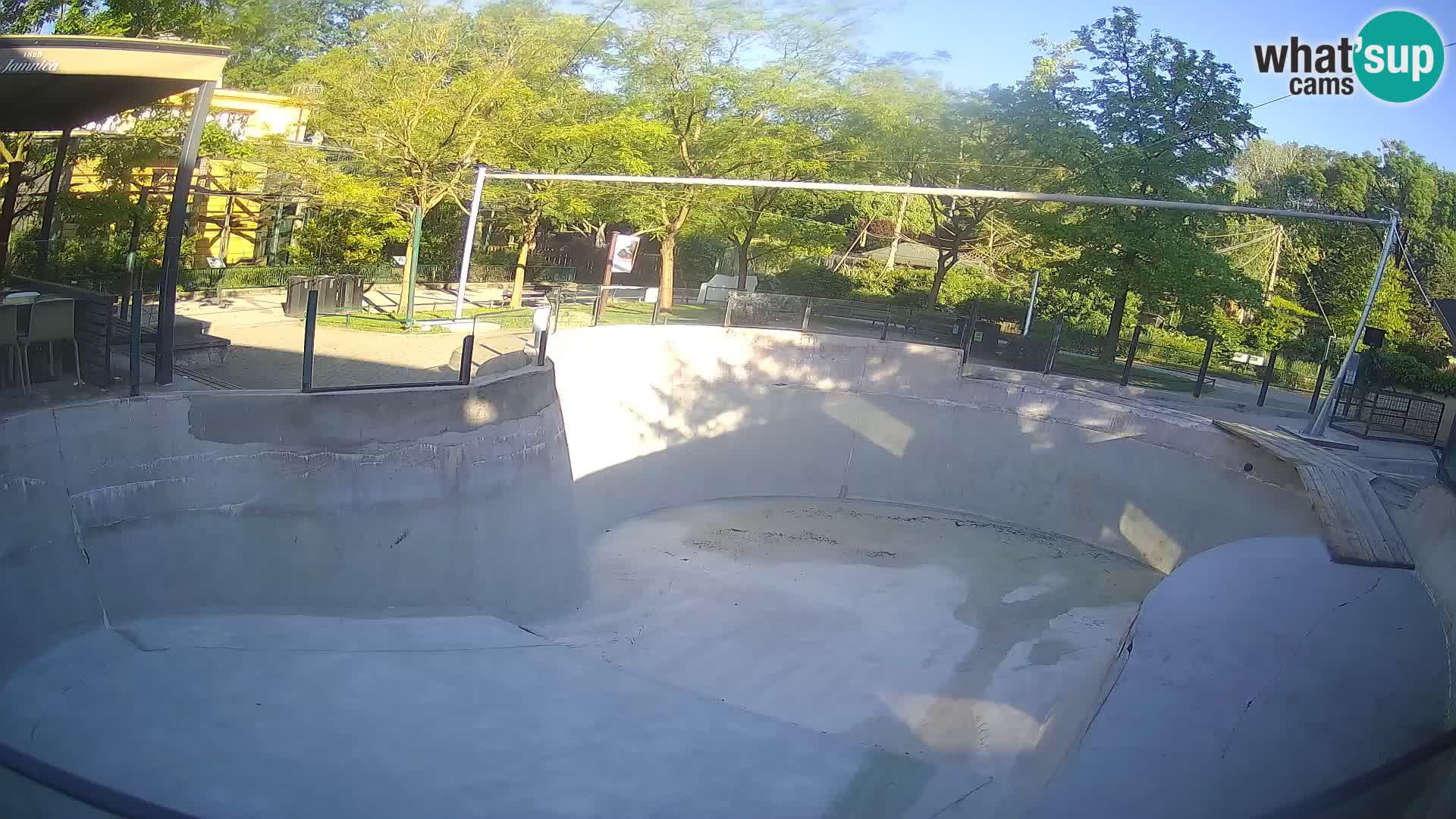 Zoo Zagreb – Kalifornijski morski lav