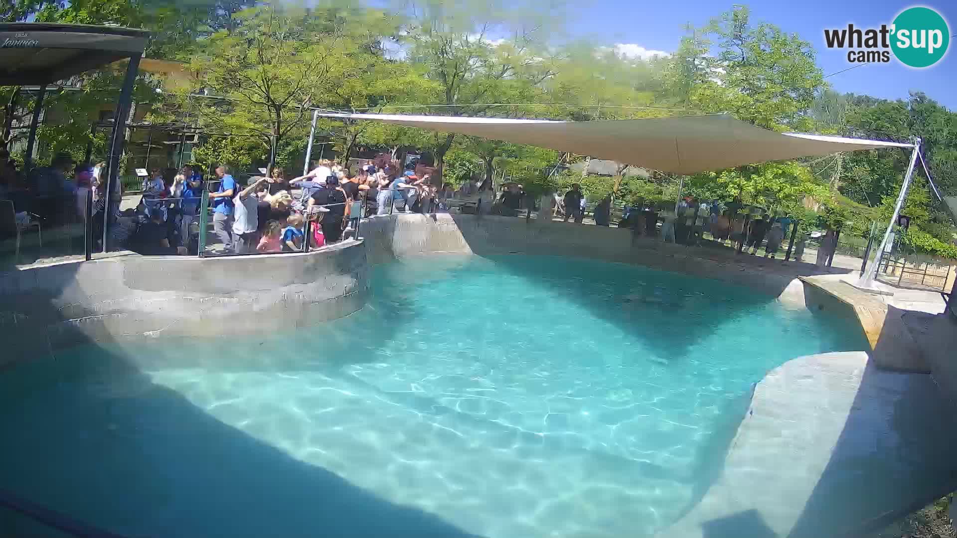 Zoo Zagreb – Otarie de Californie