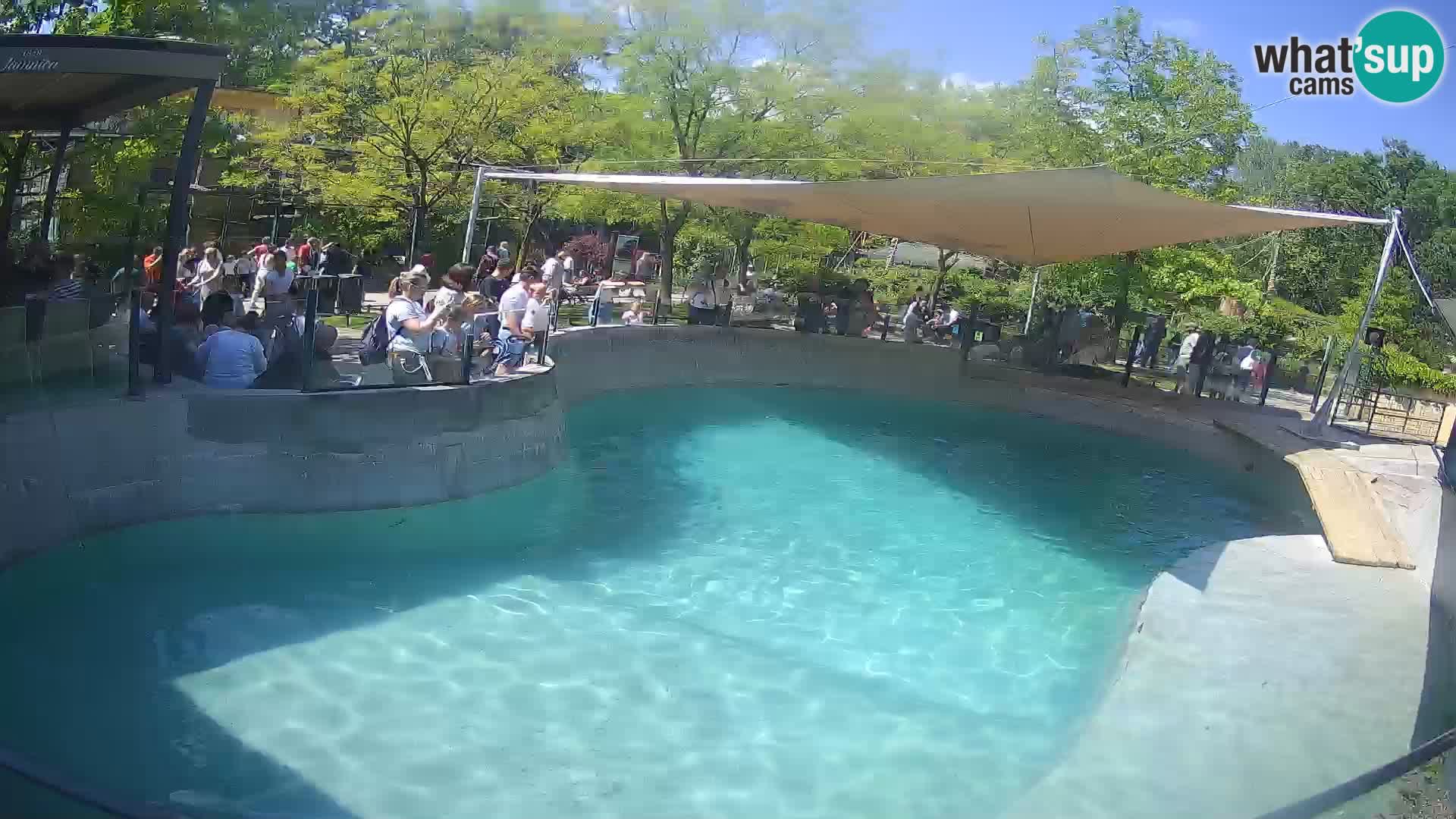 Zoo Zagreb – Kalifornijski morski lev