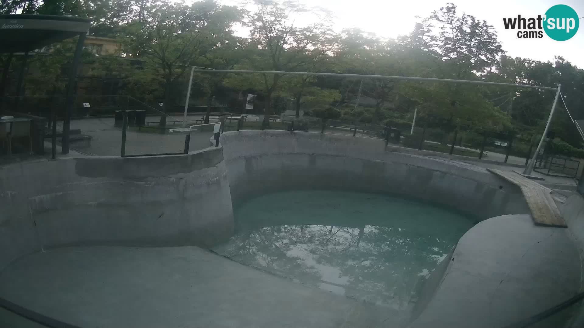 Zoo Zagreb – Kalifornijski morski lev