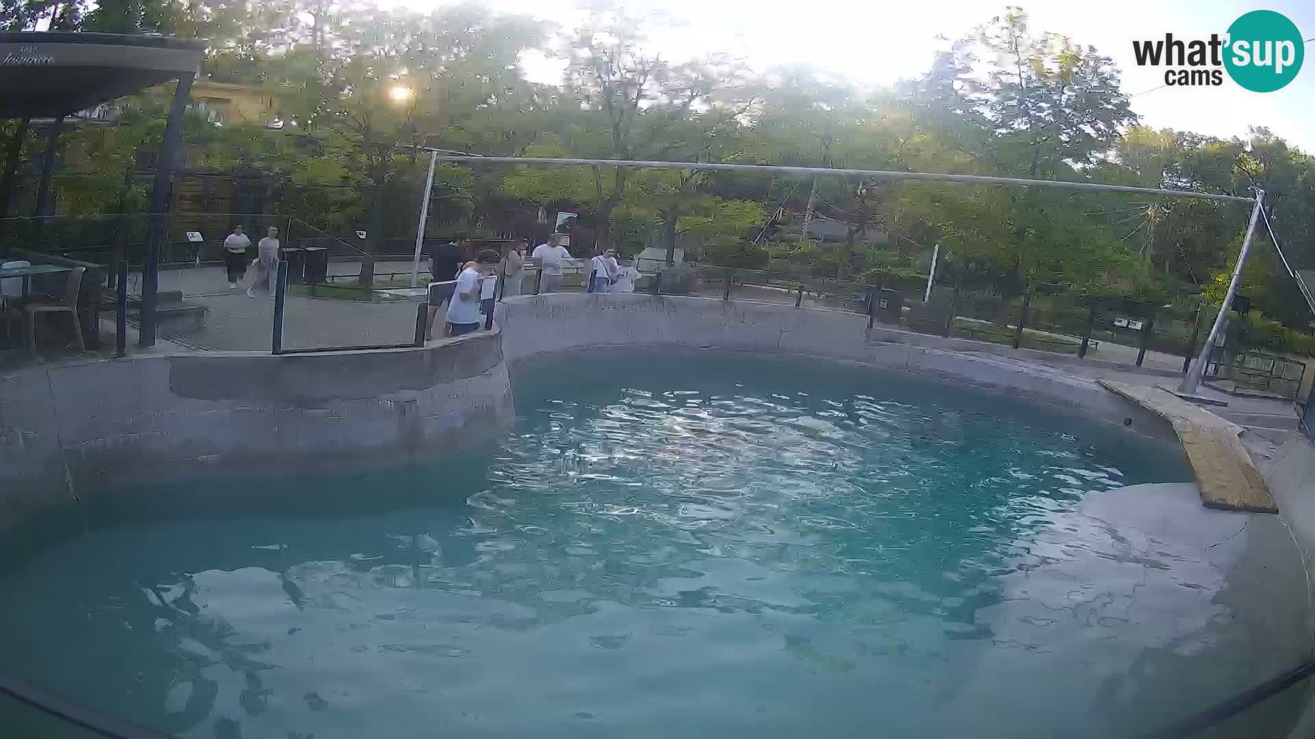 Zoo Zagreb – Kalifornijski morski lev