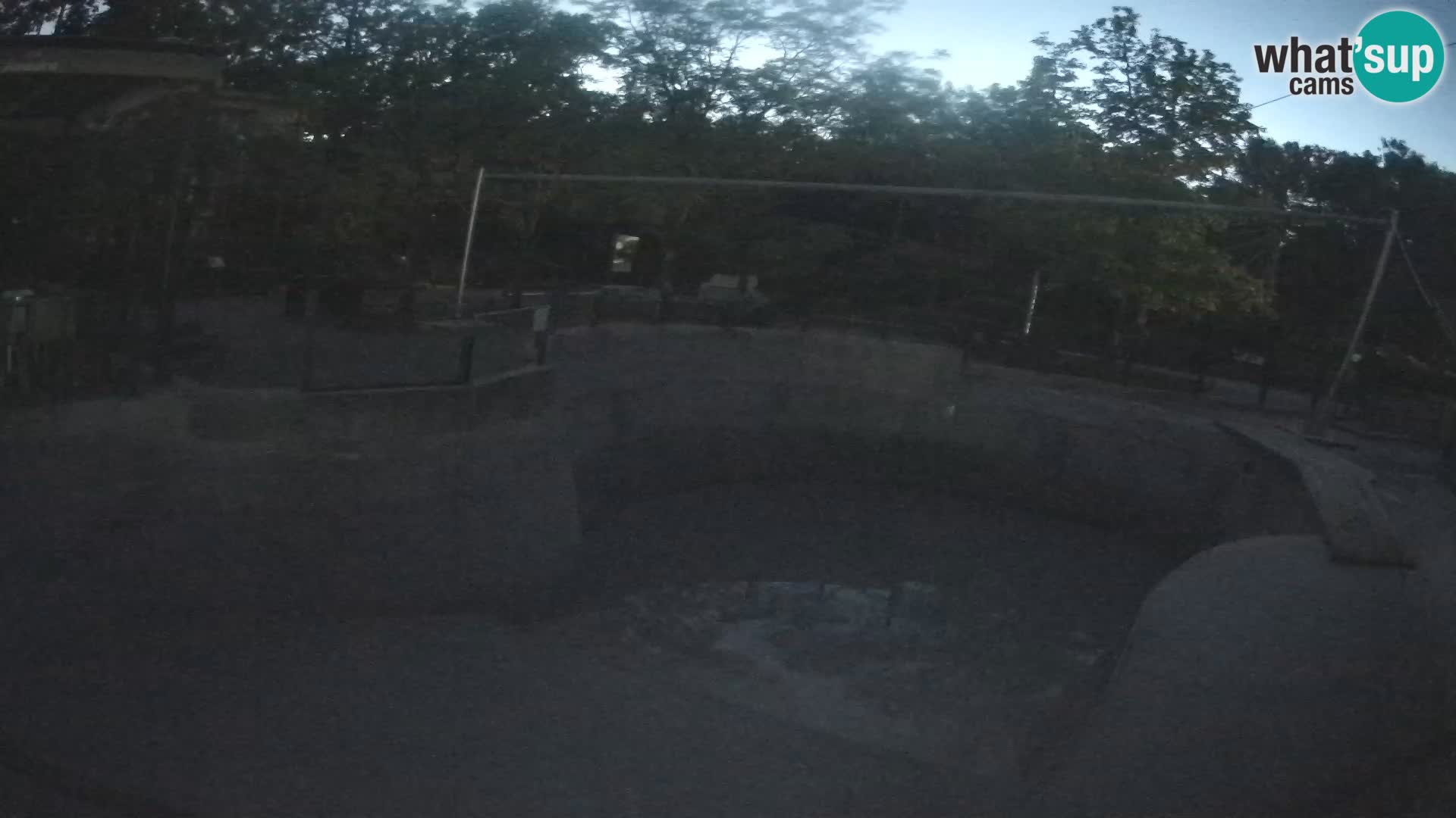 Zoo Zagreb – Kalifornischer Seelöwe