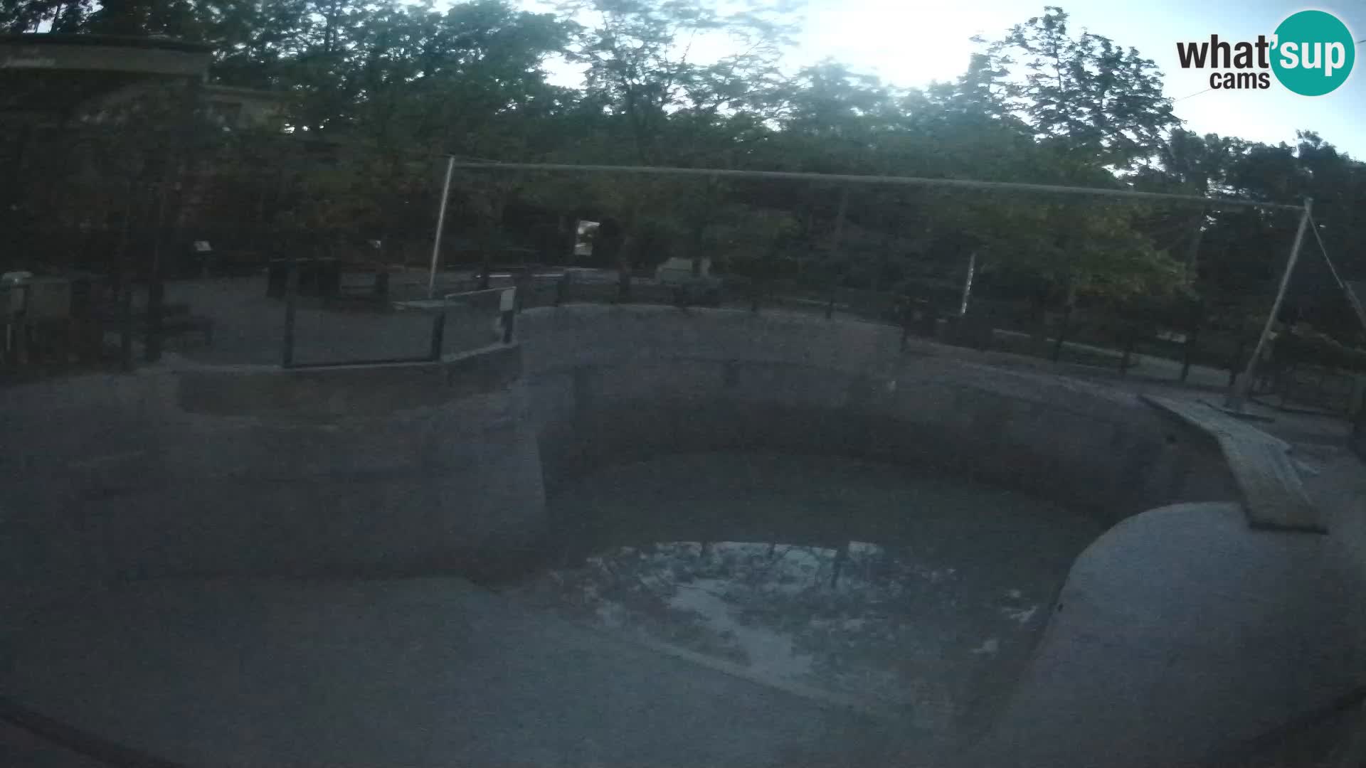 Zoo Zagreb –  León marino de California