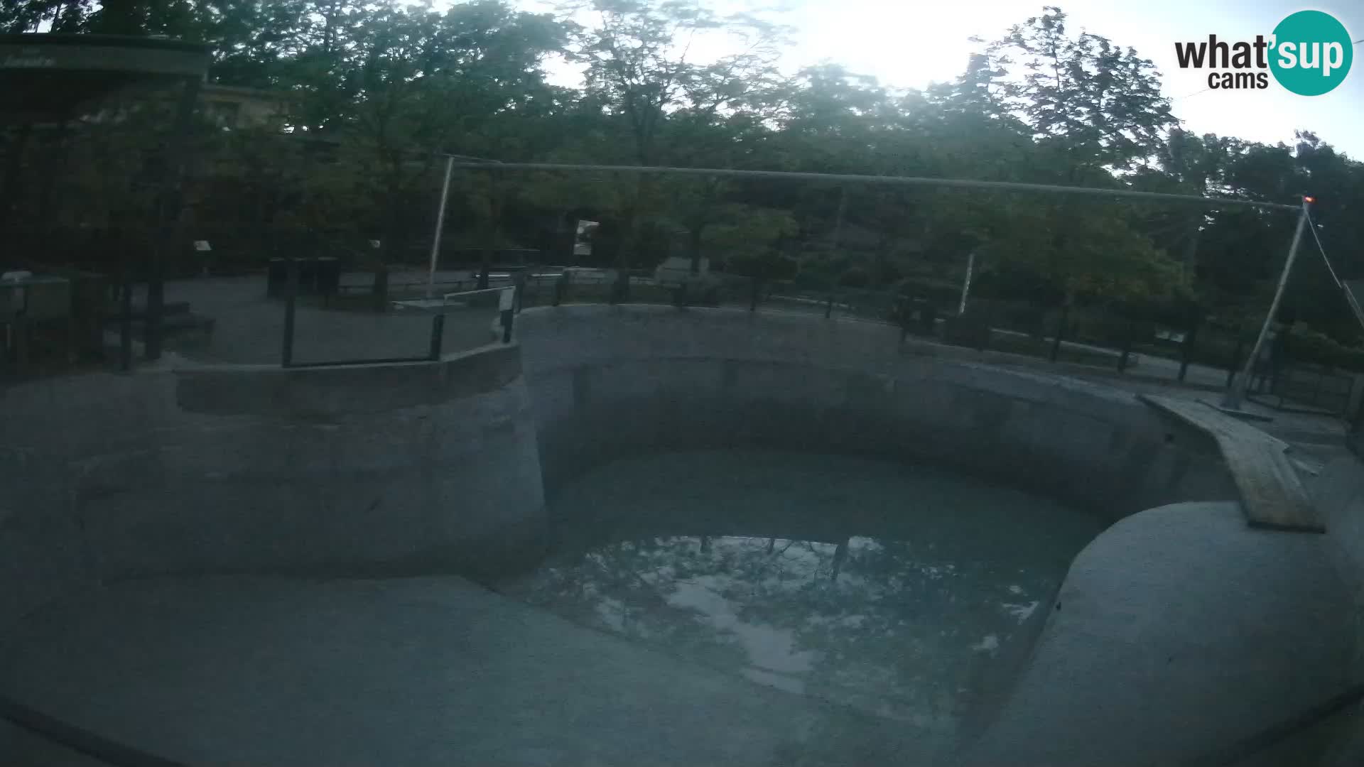 Zoo Zagreb – Kalifornijski morski lev