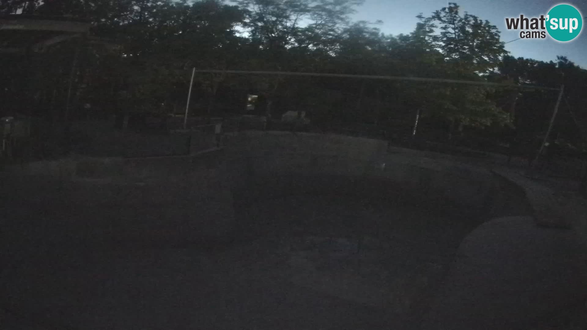 Zoo Zagreb – Kalifornijski morski lav