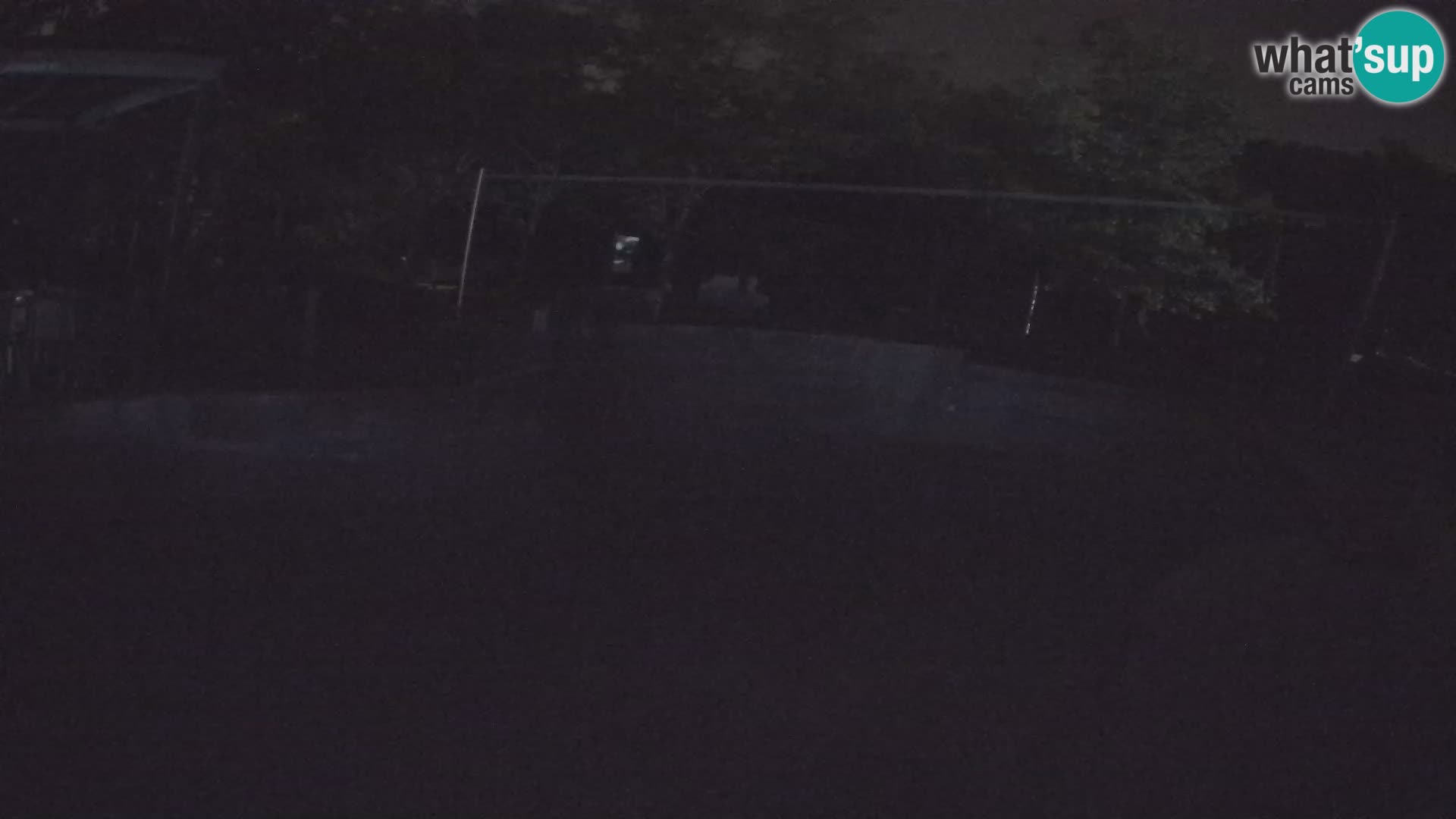 Zoo Zagreb – Kalifornijski morski lav