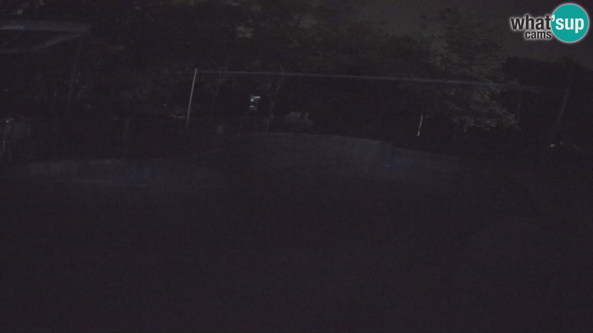 Zoo Zagreb – Kalifornijski morski lav