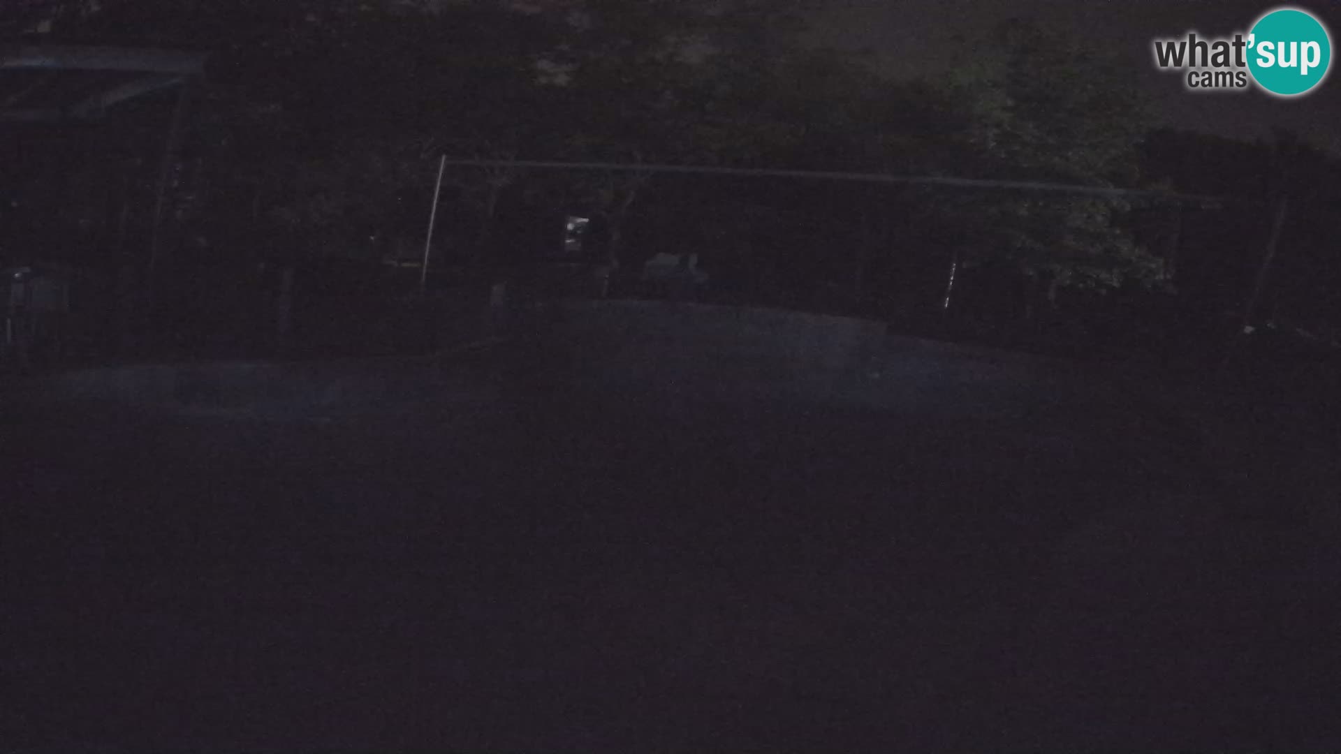 Zoo Zagreb – Kalifornijski morski lav