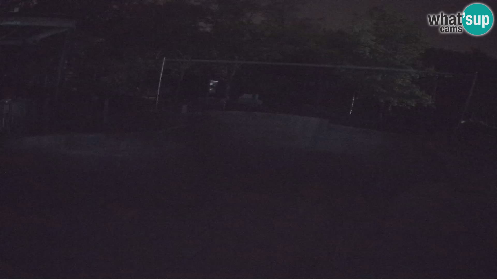 Zoo Zagreb – Kalifornijski morski lev