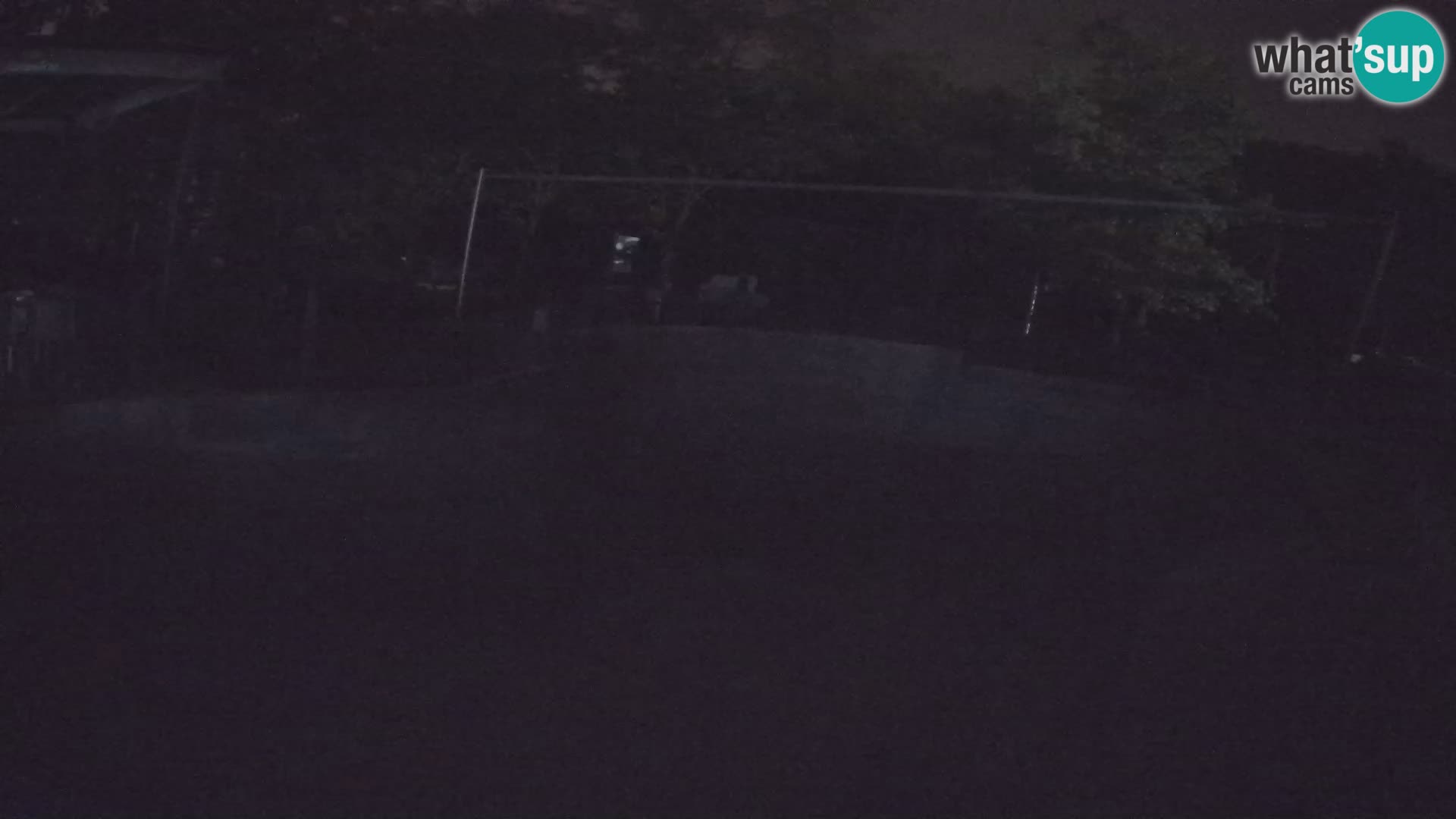 Zoo Zagreb – Kalifornijski morski lav